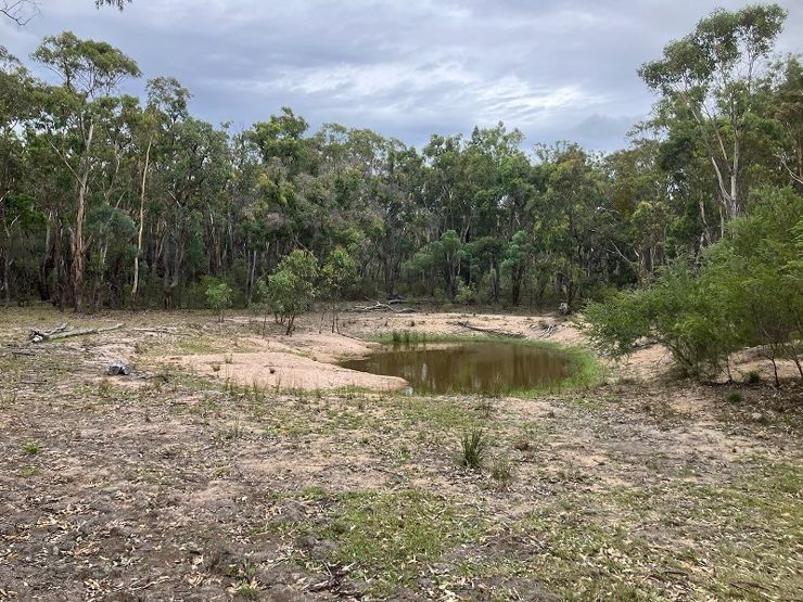 Lot 42 Ravensmoor Road, Stanthorpe, Qld, 4380 - Image 9