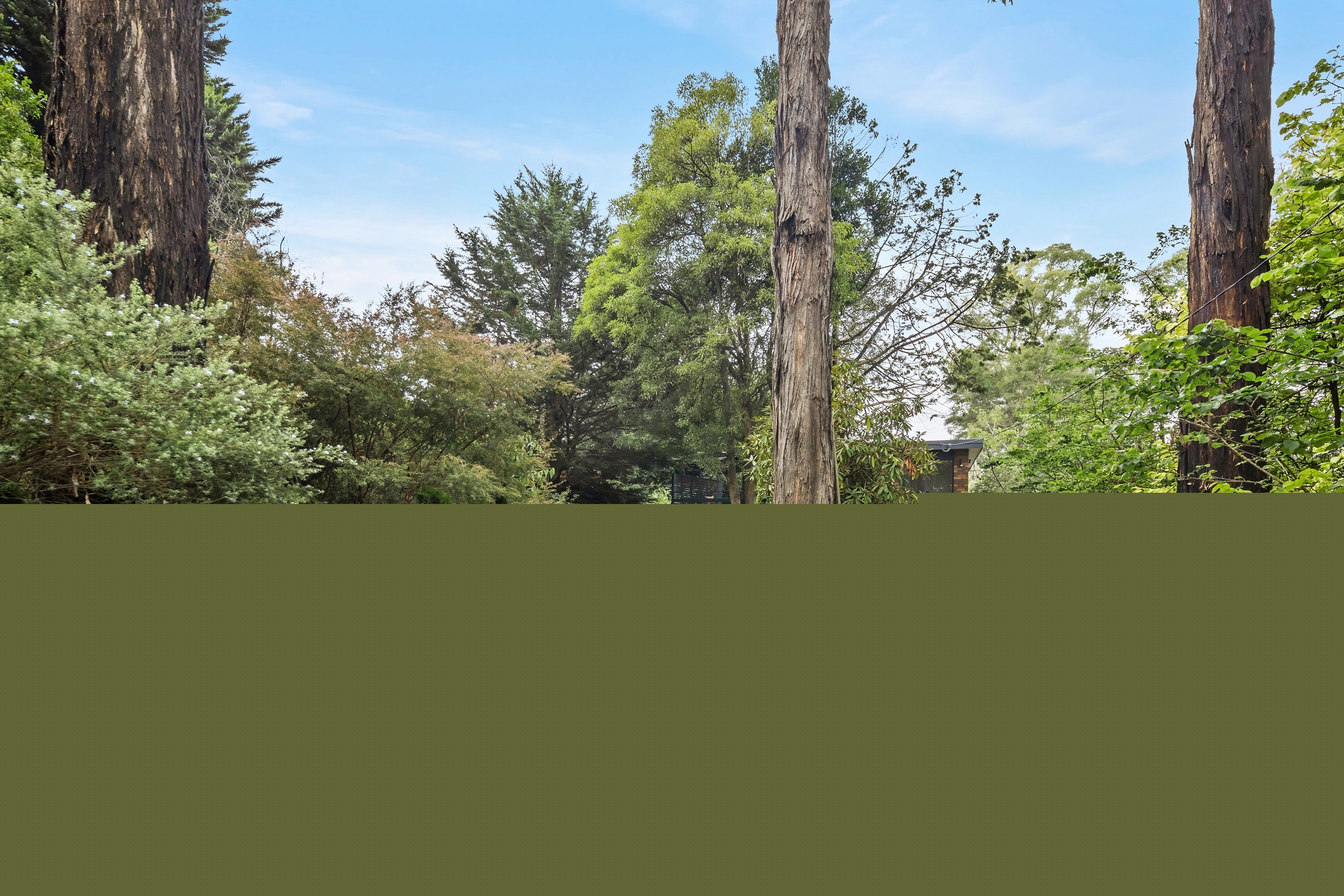 4-bedroom house at 2987 Gembrook-Launching Place Road, Gembrook, VIC 3783, Cardinia, Victoria