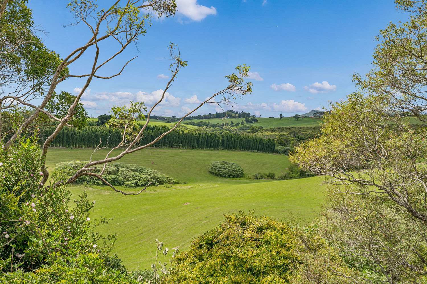 4-bedroom house at 10 Main Street, Comboyne, NSW 2429, Port Macquarie-Hastings, New South Wales