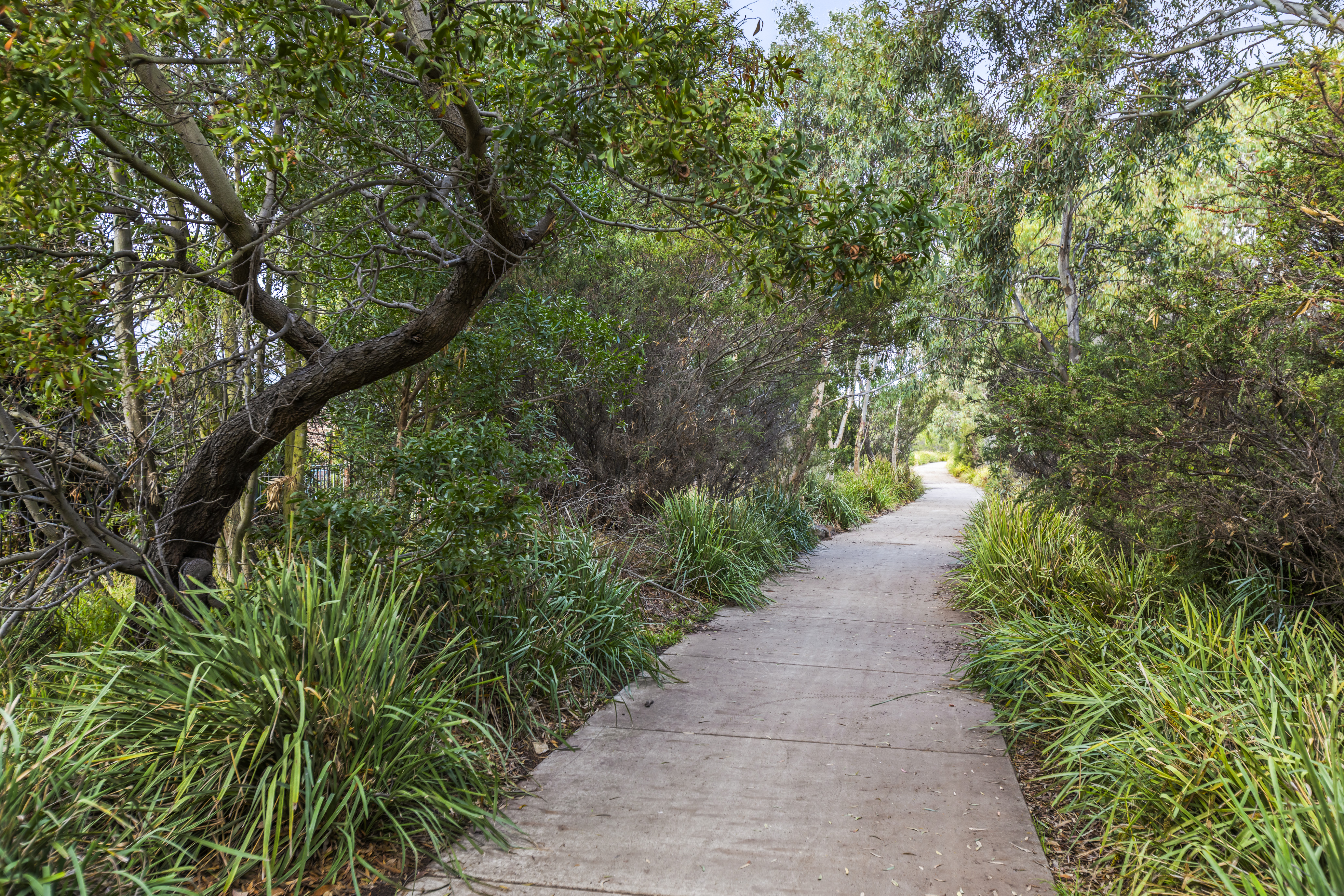 4-bedroom house at 11 CREEKWARD DRIVE, Armstrong Creek VIC 3217, Greater Geelong, Victoria