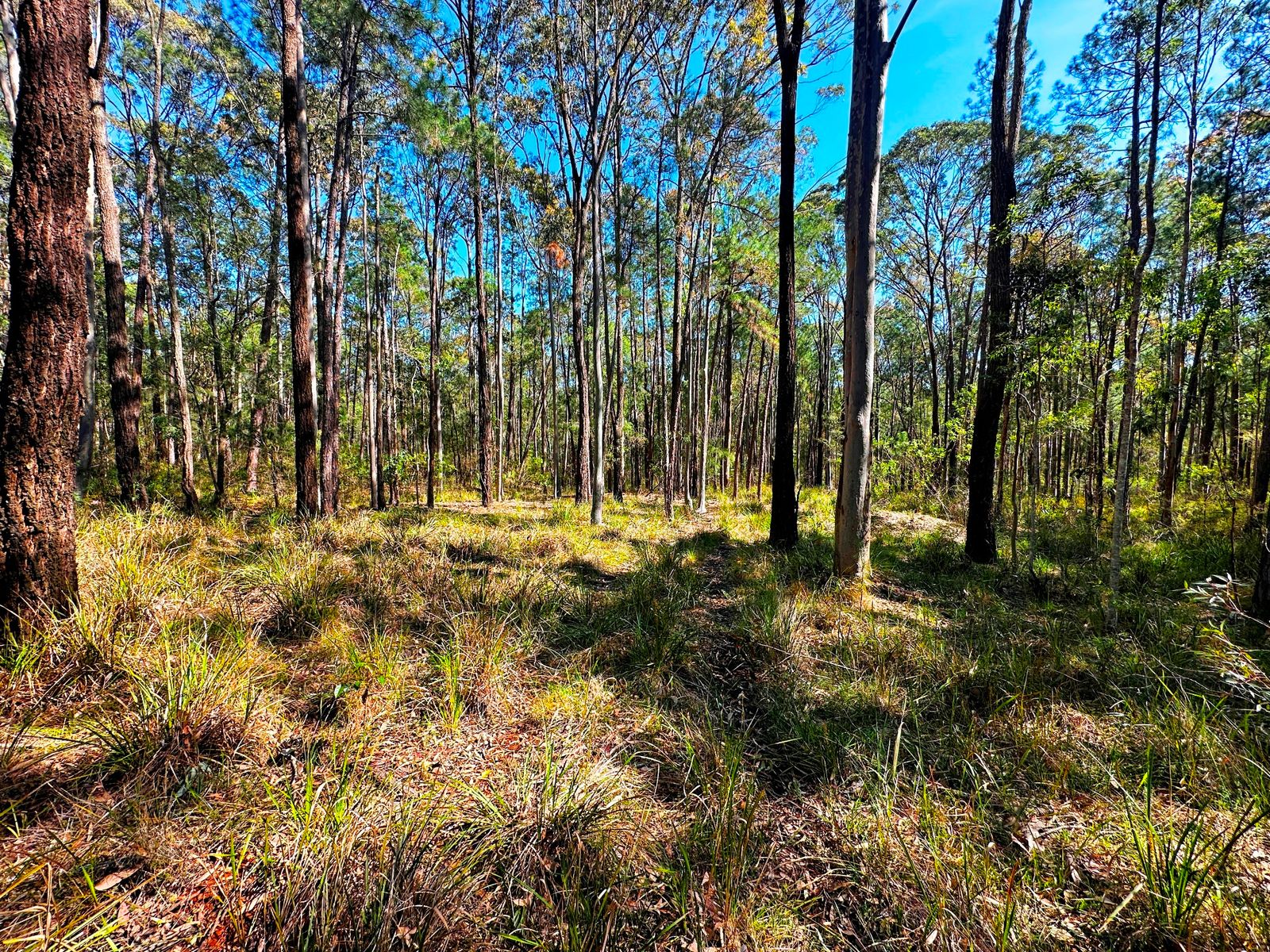 88 Clarke Street, Pindimar, Nsw, 2324 - Image 7