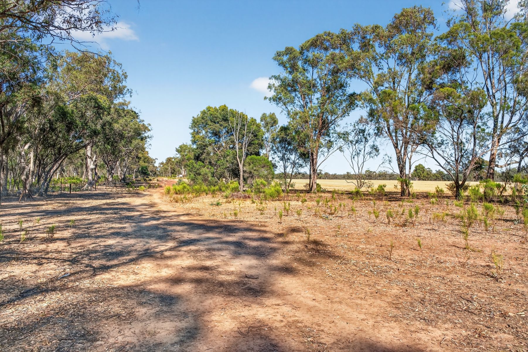 99 Winzar Lane, Goornong, Vic, 3557 - Image 8