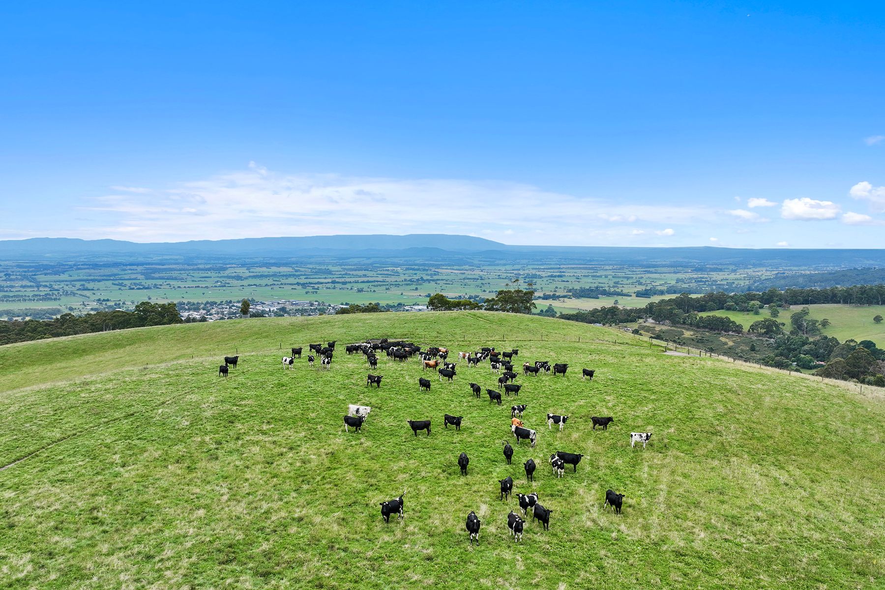 4-bedroom house at 244 Mirboo North-Trafalgar Road, Trafalgar South, VIC 3824, Baw Baw, Victoria