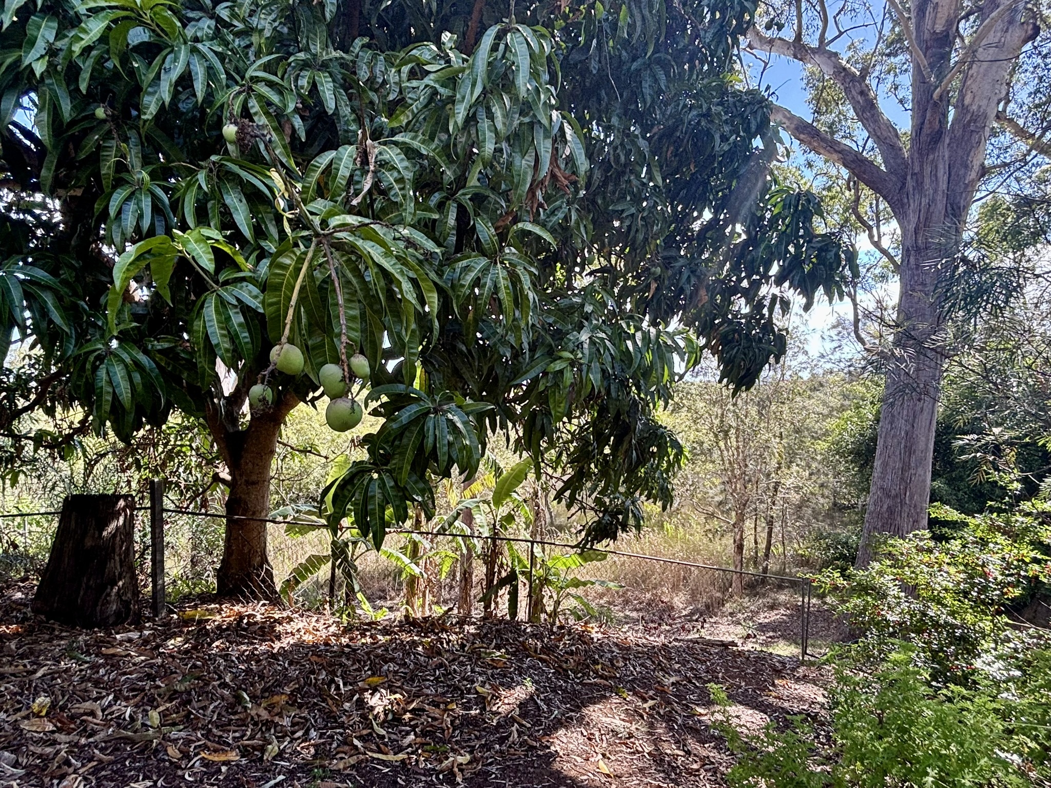 2-bedroom house at 40 Deenya Parade, Russell Island, QLD 4184, Redland, Queensland