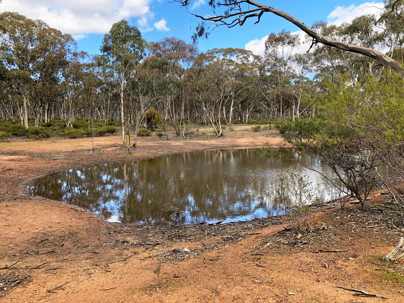 35 Wakefield Street, Wedderburn, Vic, 3518 - Image 4