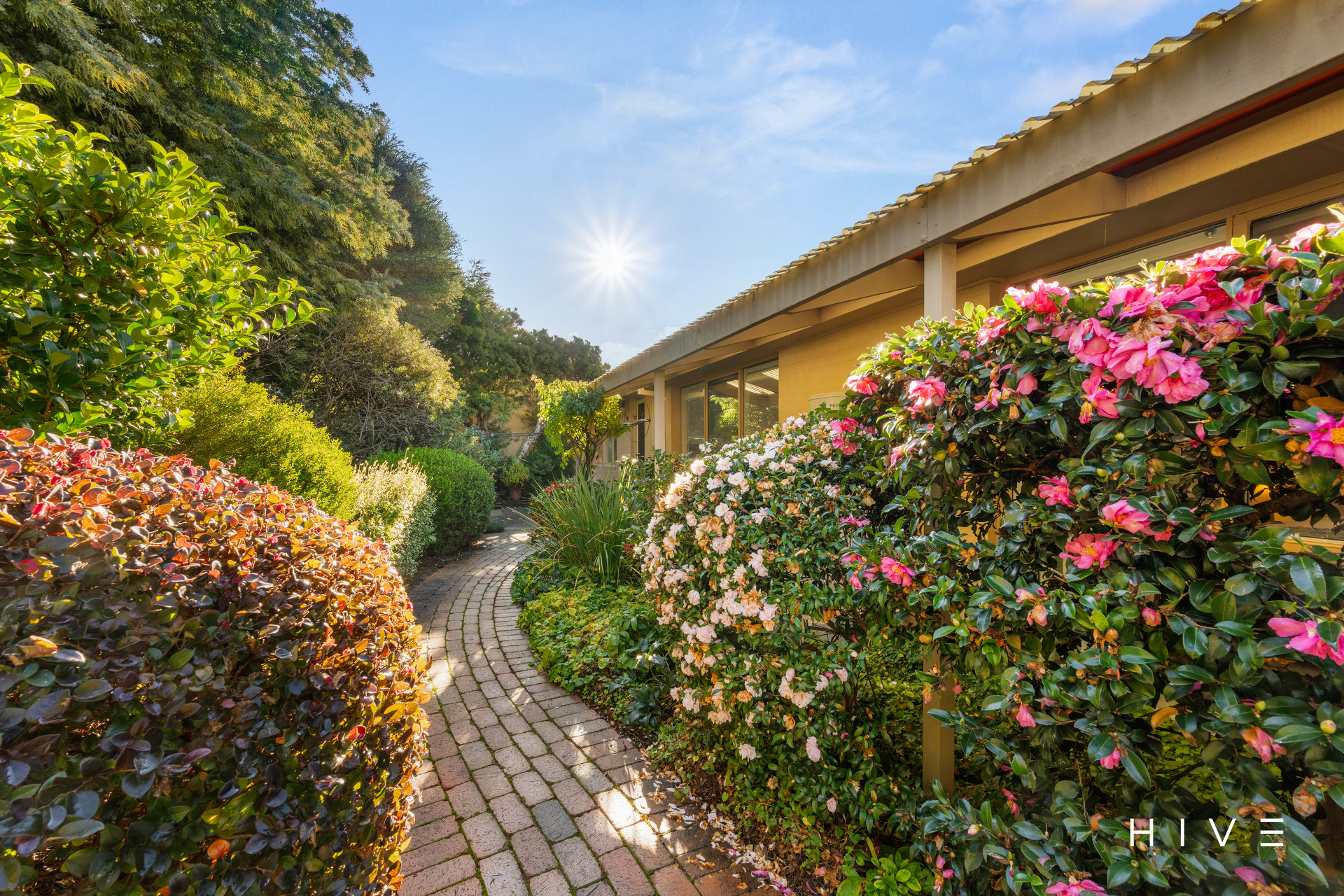 3-bedroom house at 22/58 Shackleton Circuit, Mawson, ACT 2607, Unincorporated Act, Australian Capital Territory