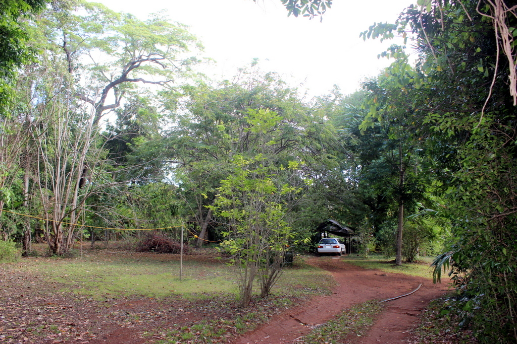 2125-2159 Endeavour Valley Rd, Cooktown, Qld, 4895 - Image 5