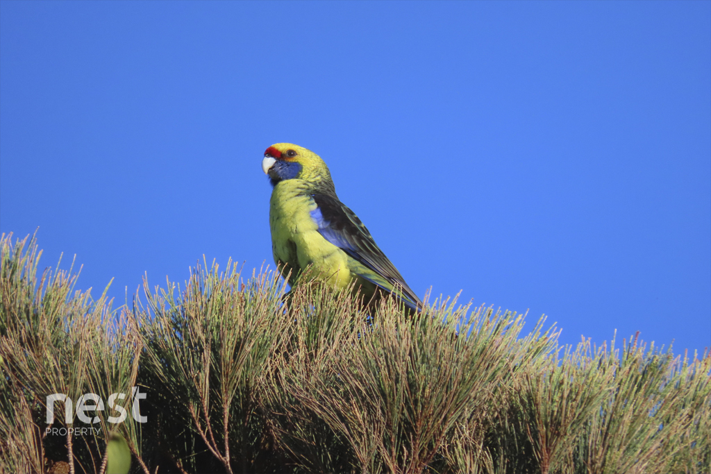 2-bedroom house at 1000 VAN MOREY ROAD, Margate TAS 7054, Kingborough, Tasmania