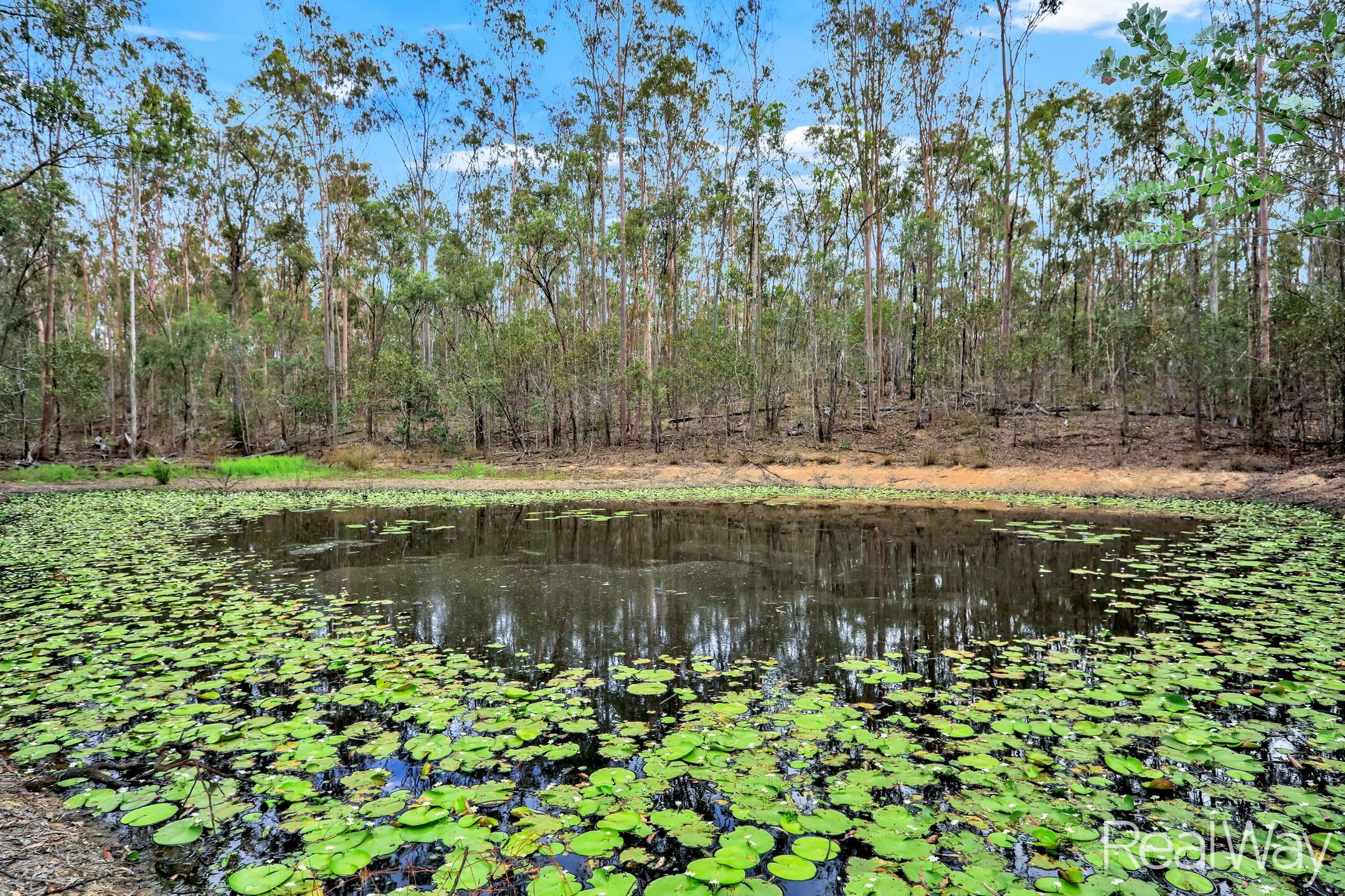 1-bedroom house at Address Available On Request Contact Agent, Good Night, Qld, 4671, Bundaberg, Queensland
