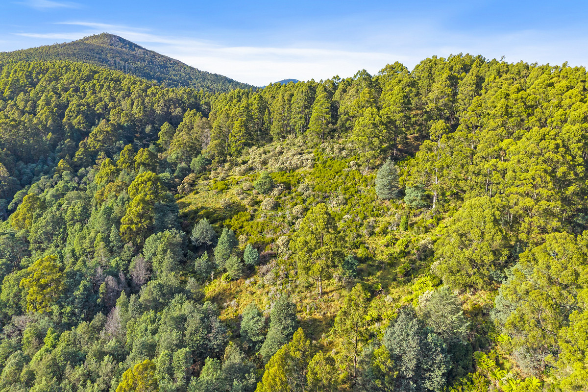 3 Nicholls Rivulet Road, Nicholls Rivulet, Tas, 7112 - Image 6