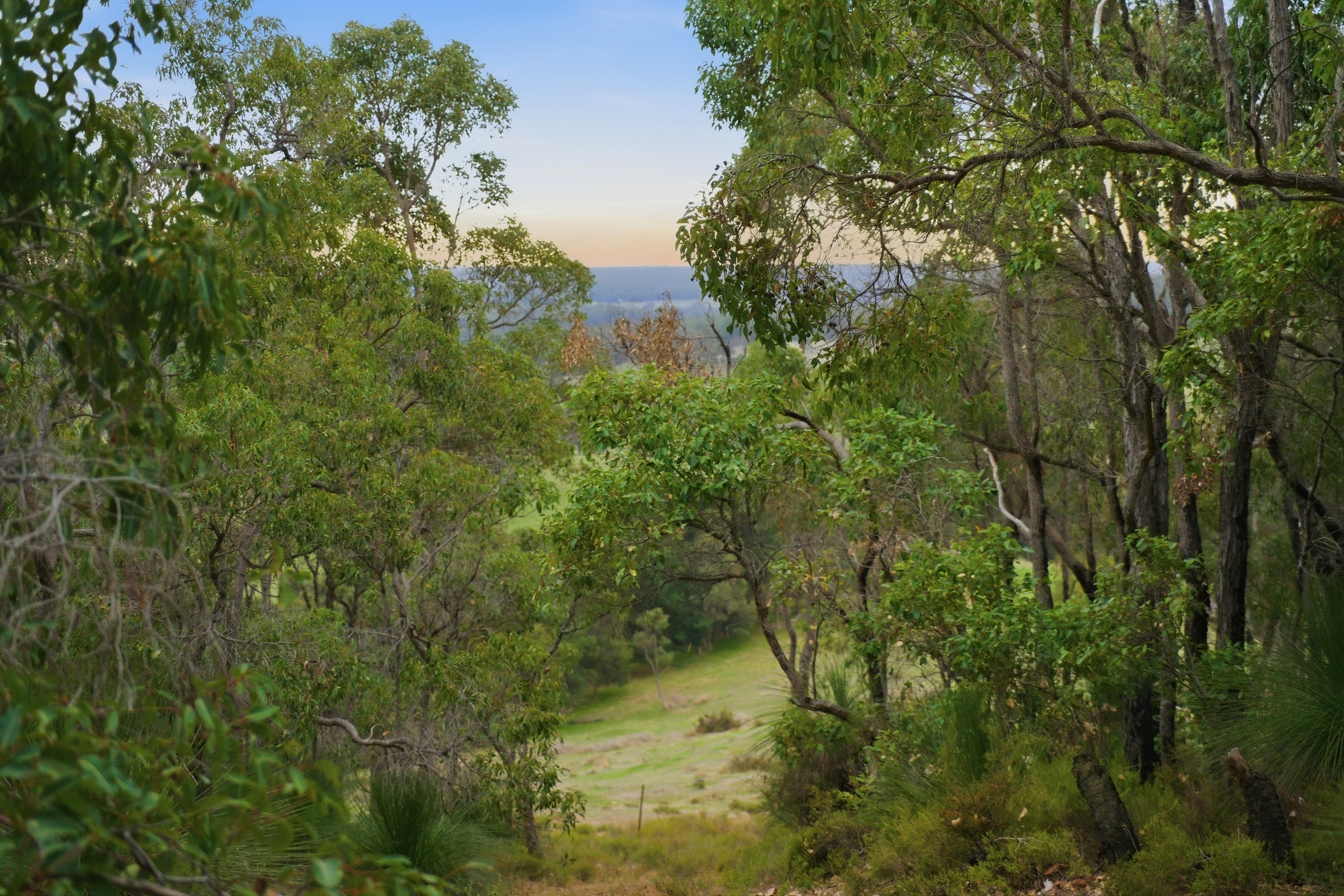 1-bedroom house at 267 Gold Gully Road, East Nannup, WA 6275, Nannup, Western Australia
