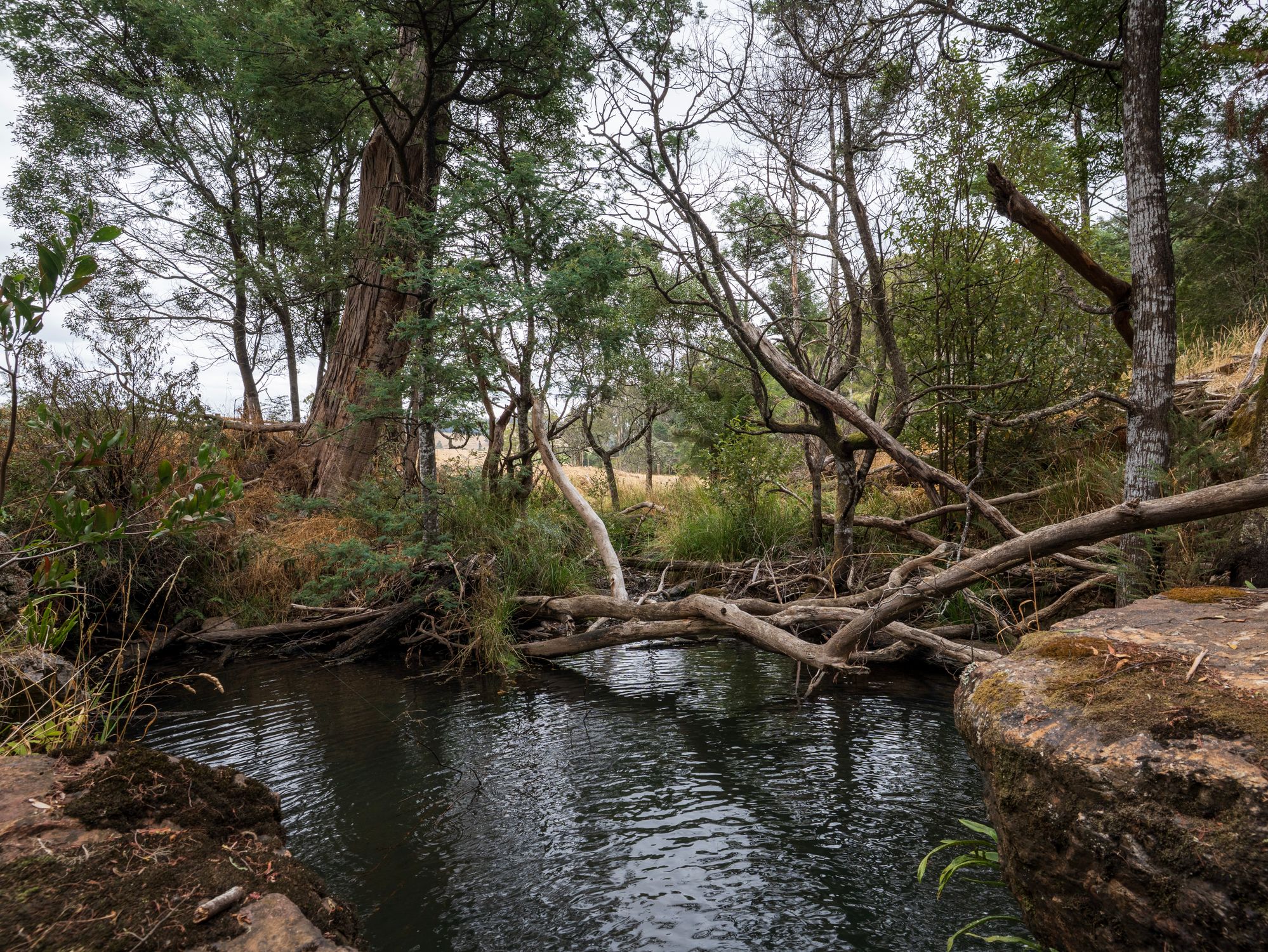 1-bedroom house at 167 LAKE BARRINGTON ROAD, Wilmot TAS 7310, Kentish, Tasmania