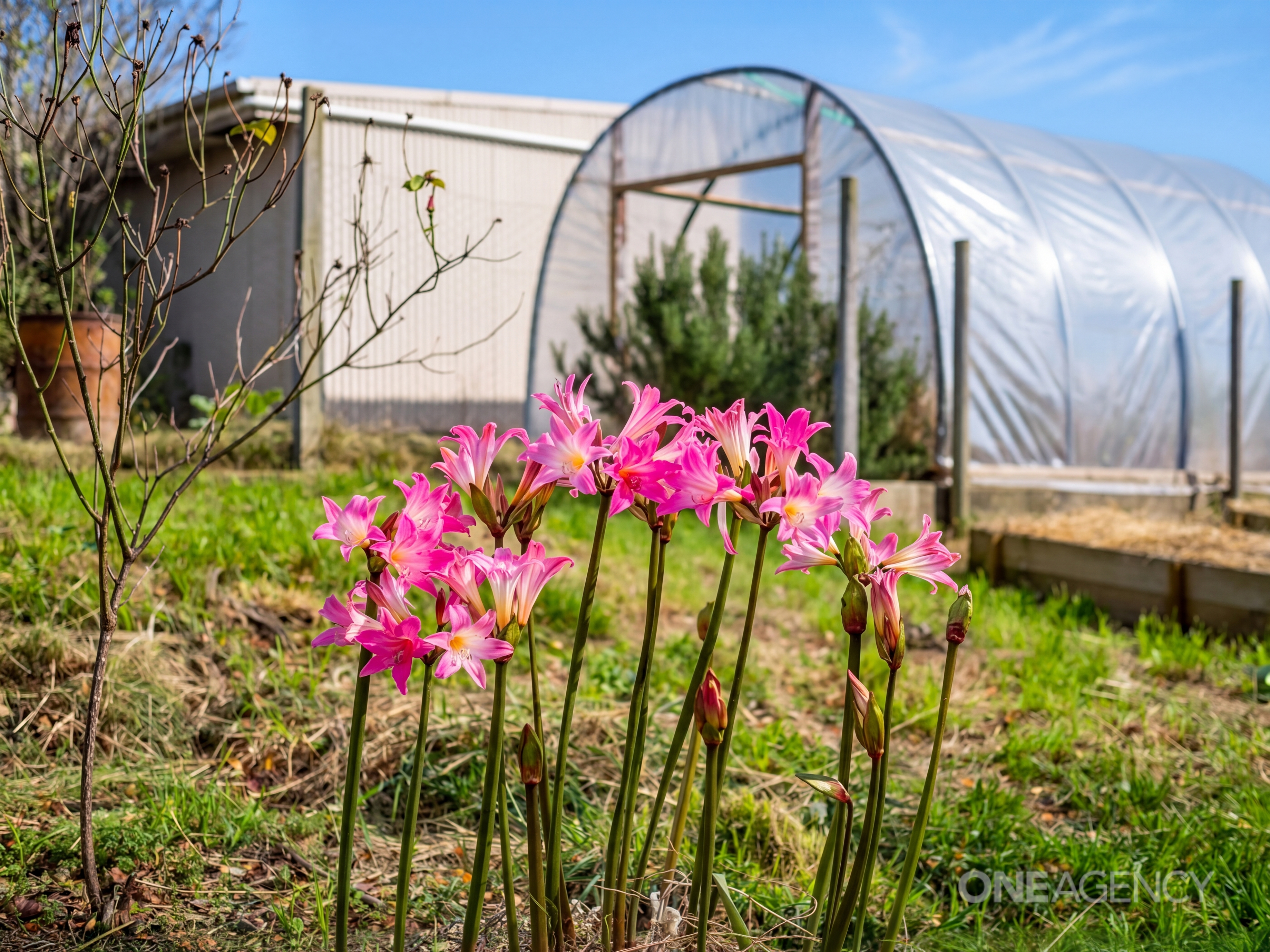 3-bedroom house at 932 Ridgley Highway, Ridgley, TAS 7321, Burnie, Tasmania