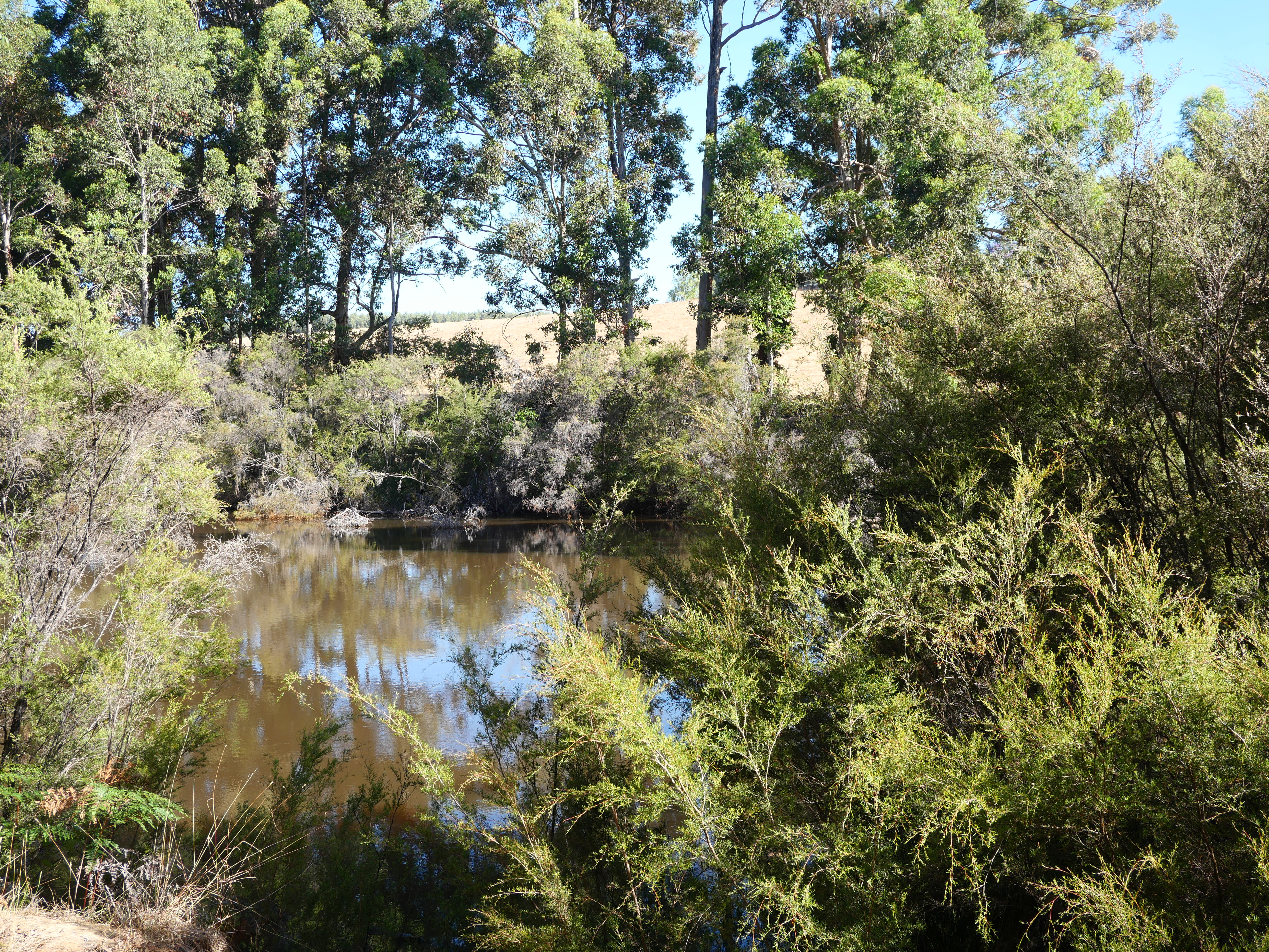 1-bedroom unit at 61 Hayes Road, East Nannup, WA 6275, Nannup, Western Australia