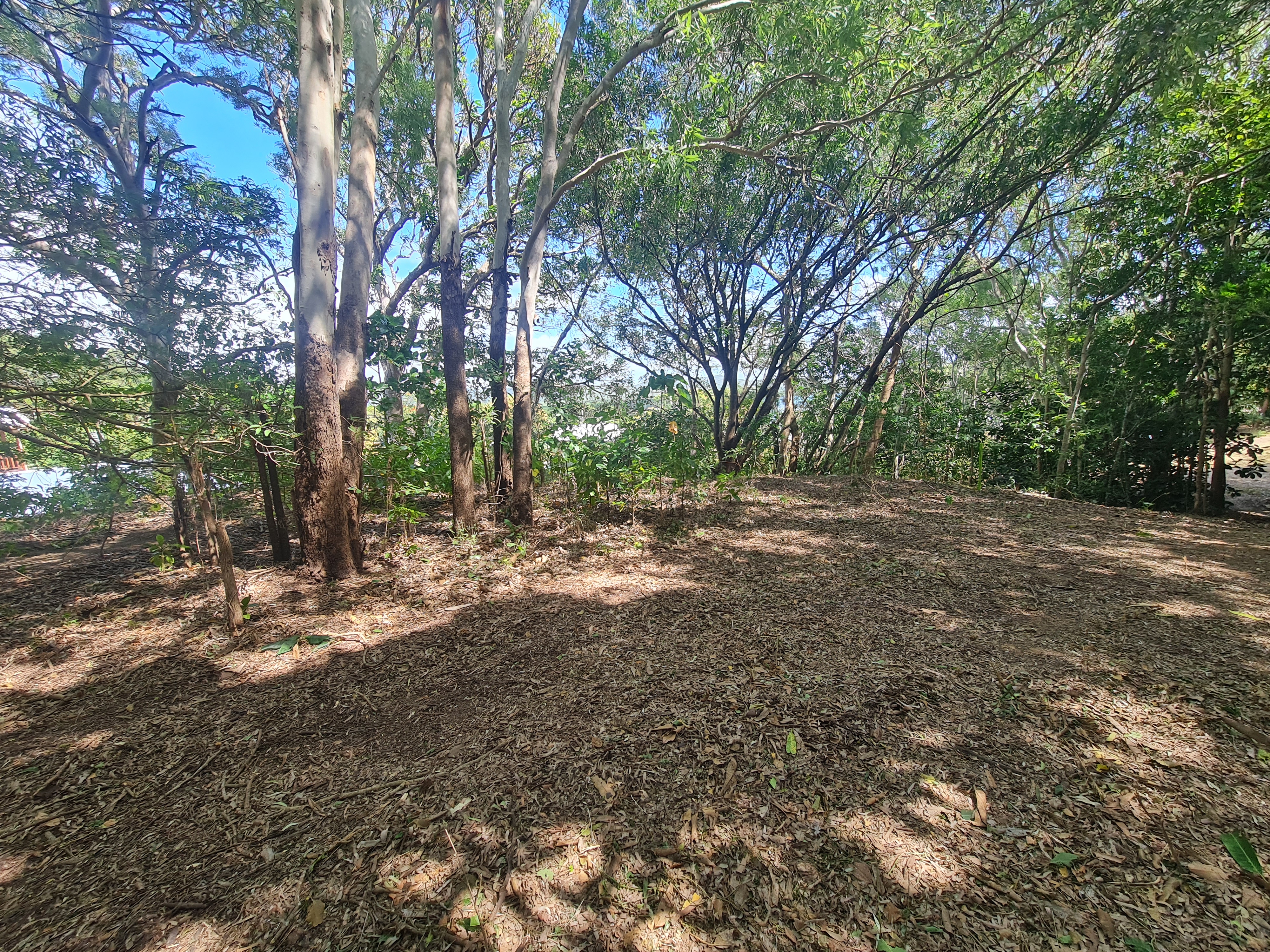 16 Flinders Street, Cooktown, Qld, 4895 - Image 4