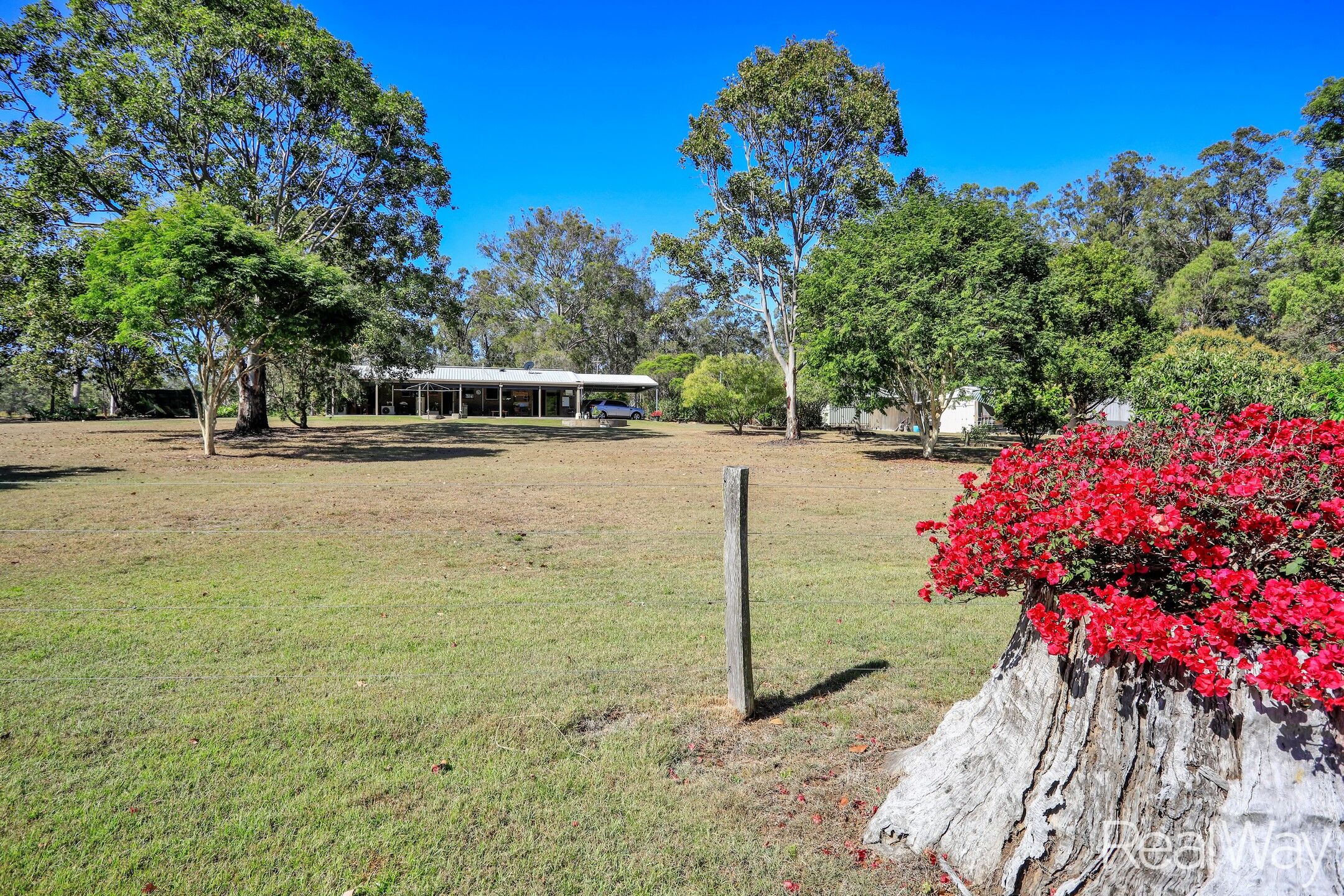 105 Reads Road, Bucca, QLD 4670 - Image 3