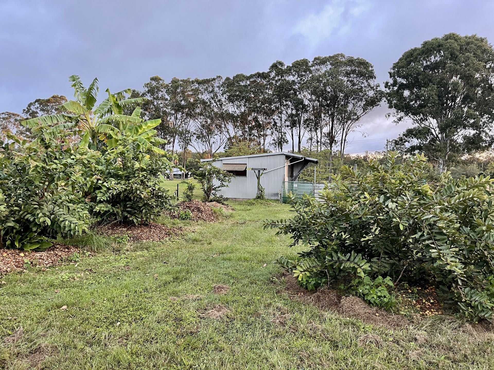 3-bedroom house at 84 GORDON EARL DRIVE, Millstream QLD 4888, Tablelands, Queensland