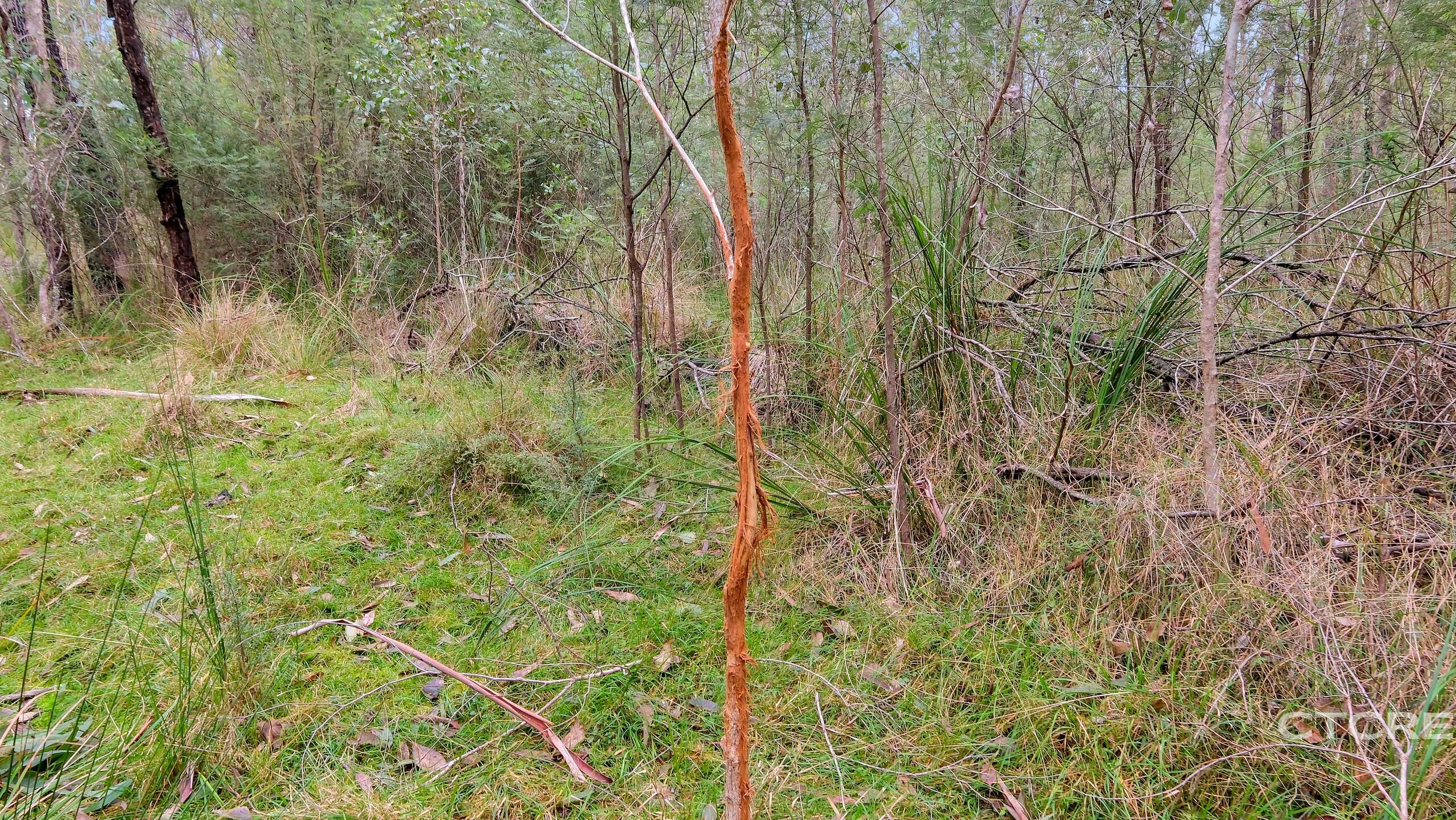 2-bedroom house at 1664 Wangarabell Road, Wangarabell, Vic, 3891, East Gippsland, Victoria