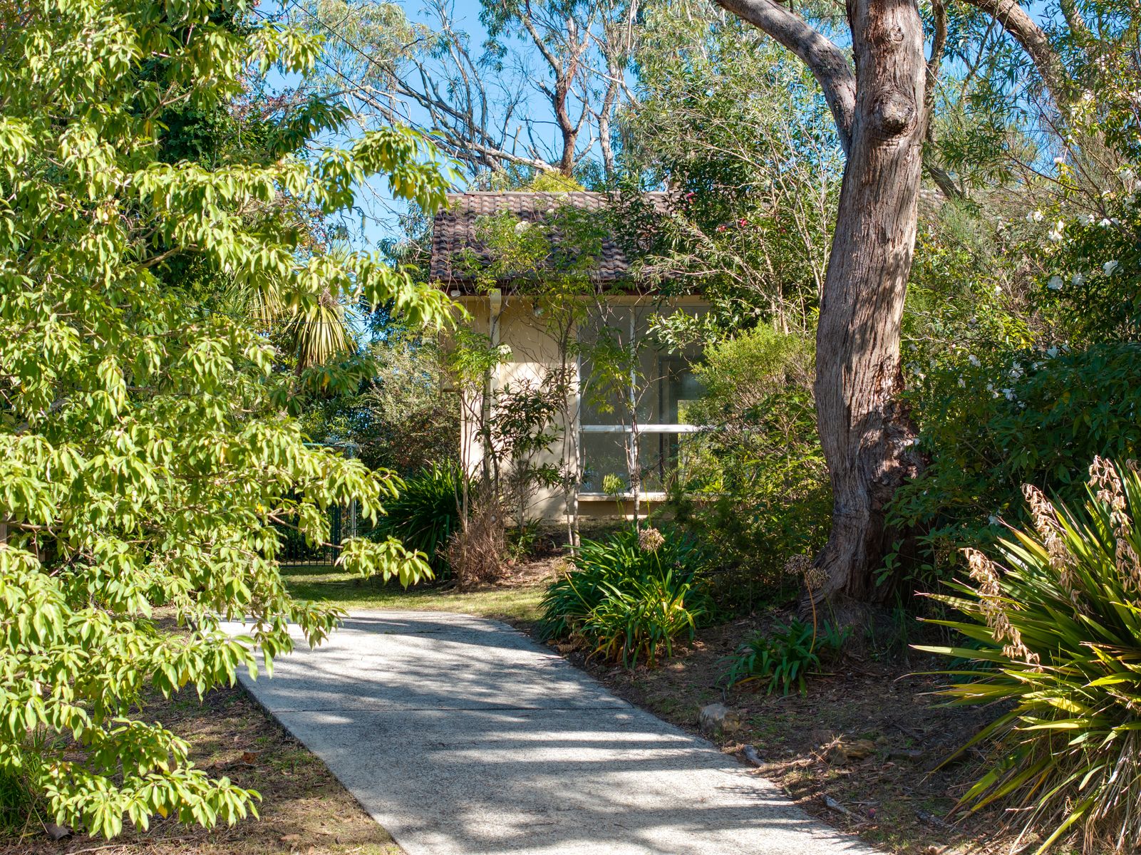 37 WESTBOURNE AVENUE, Wentworth Falls NSW 2782 - Image 3