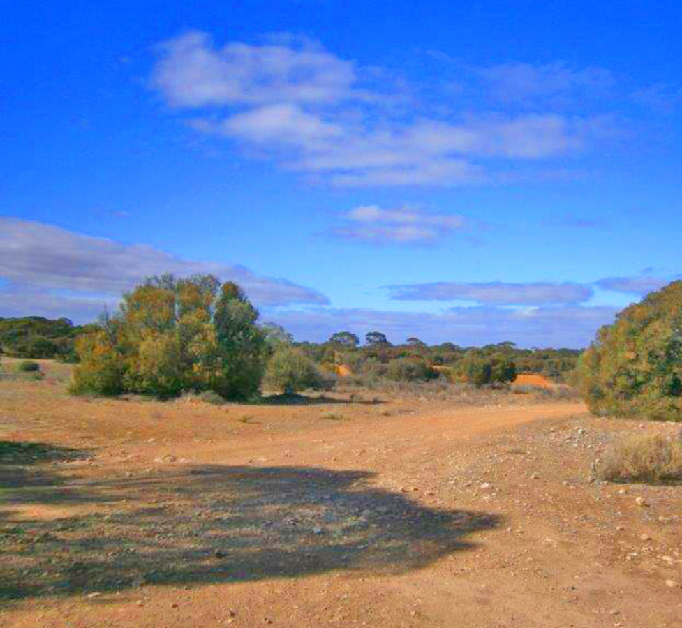 3-bedroom house at 19-21 ADAMS STREET, Blanchetown SA 5357, Mid Murray, South Australia