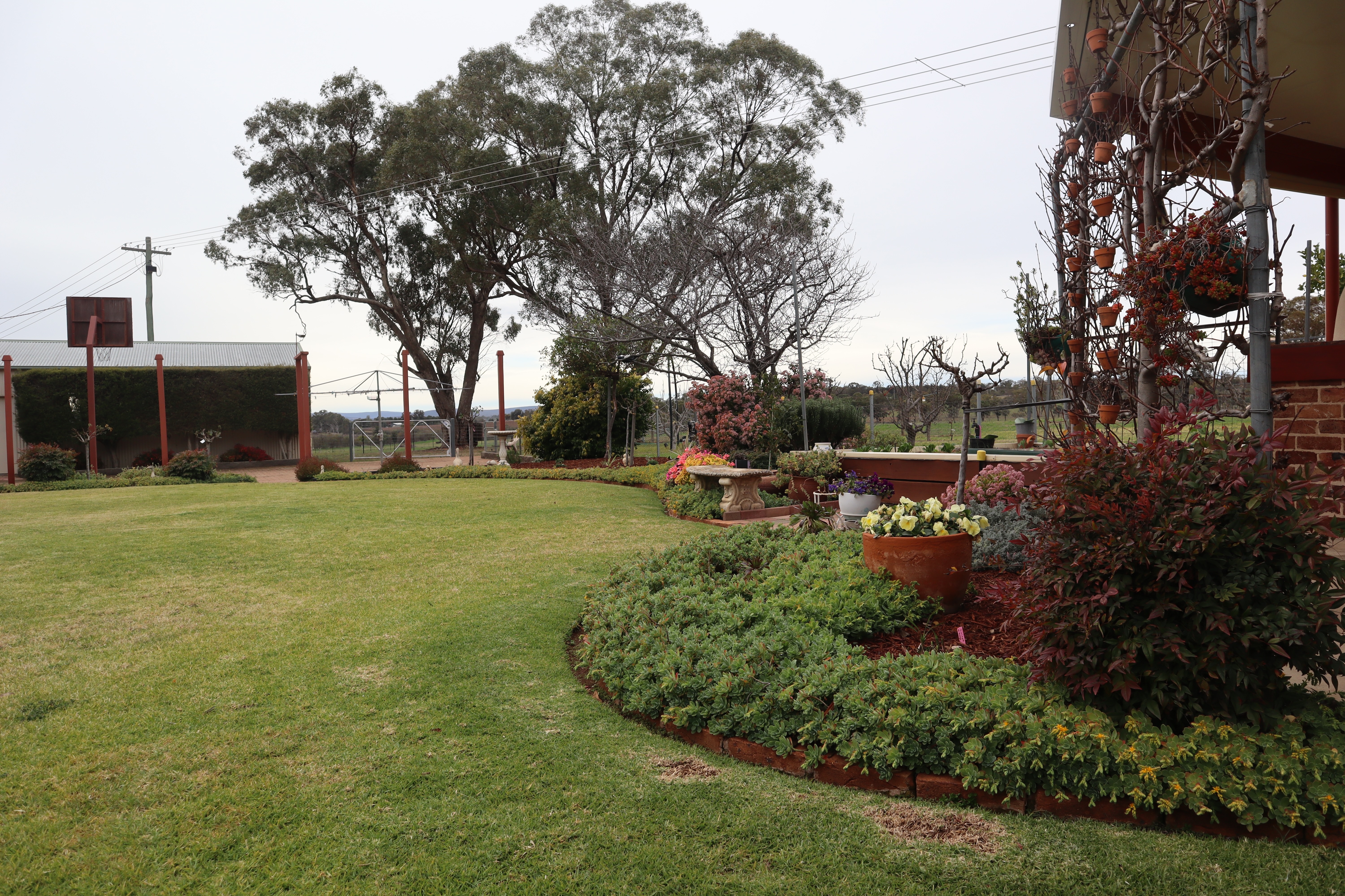 4-bedroom house at 114 Tabain Rd, Merungle Hill, Nsw, 2705, Leeton, New South Wales