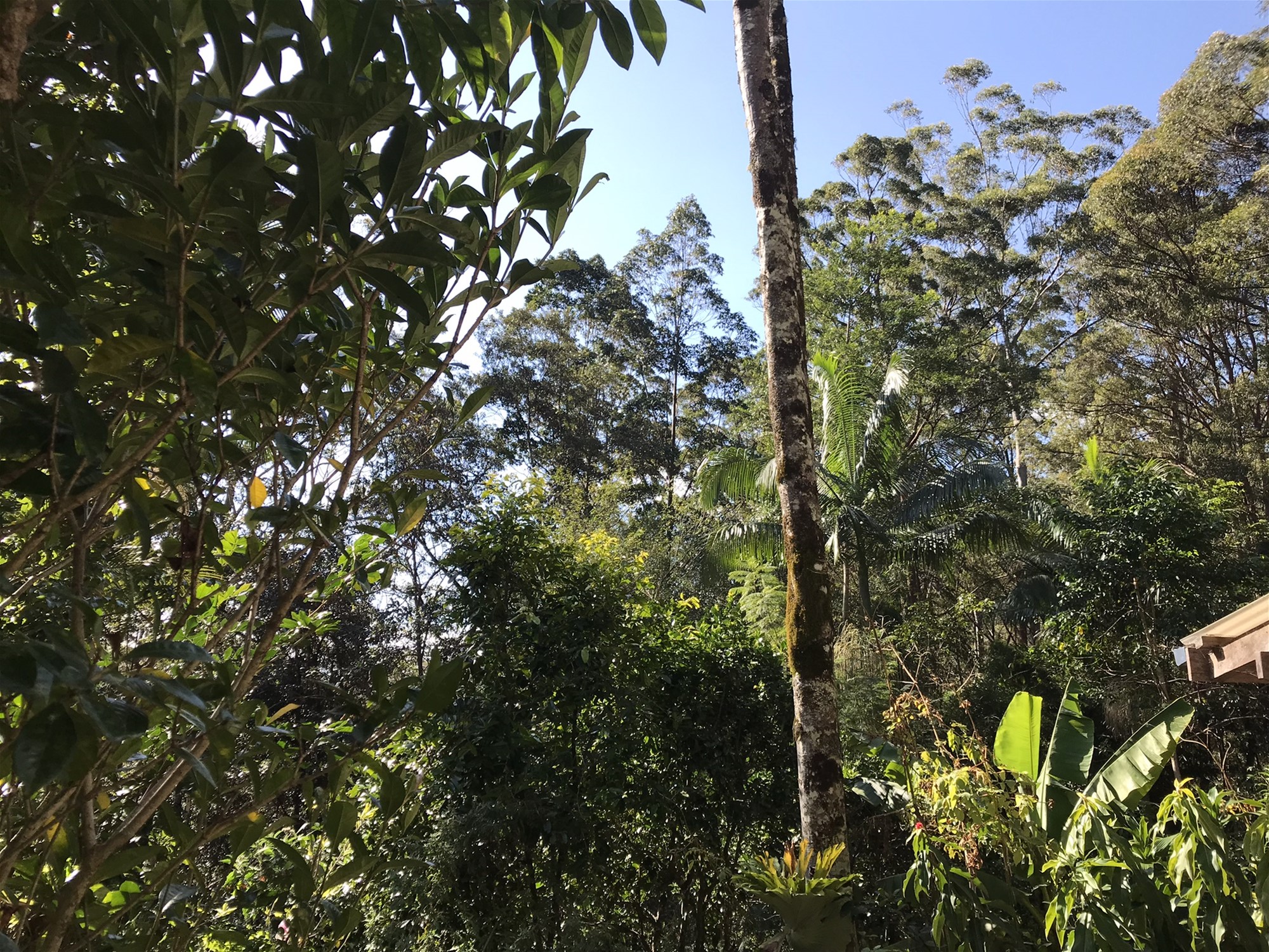 904 Blue Knob Road, Nimbin, Nsw, 2480 - Image 2