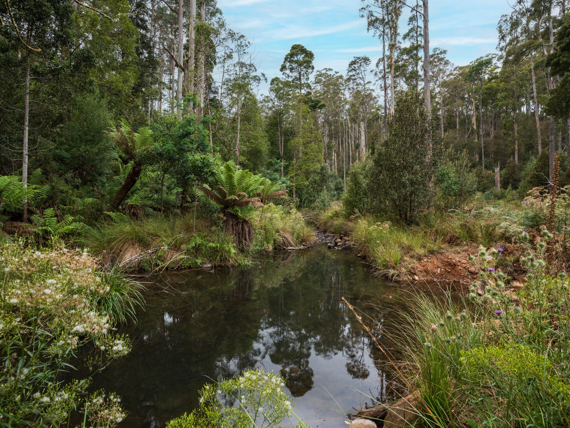 1-bedroom house at 167 LAKE BARRINGTON ROAD, Wilmot TAS 7310, Kentish, Tasmania