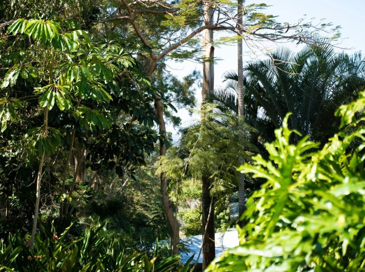 4-bedroom house at 45 Crosby Hill Road, Buderim, QLD 4556, Sunshine Coast, Queensland