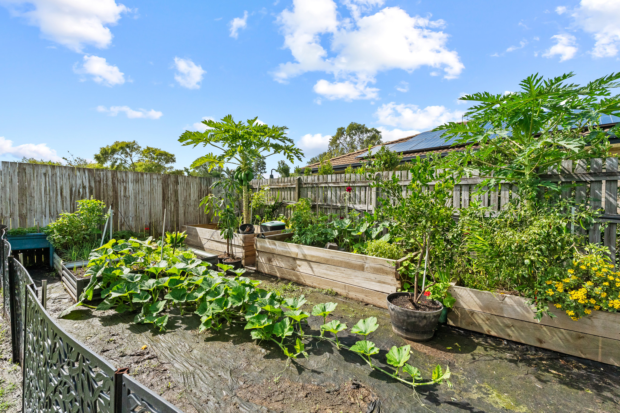 3-bedroom house at 12 LADBROKE CRESCENT, Urangan QLD 4655, Fraser Coast, Queensland