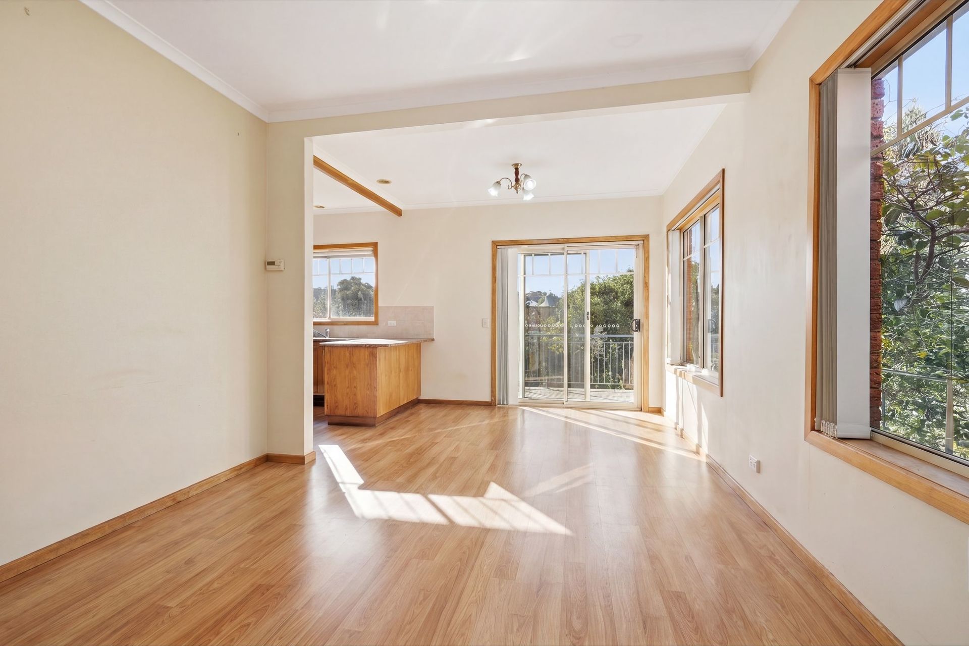 10/57 Warwick Street, Hobart, TAS 7000 - Image 5