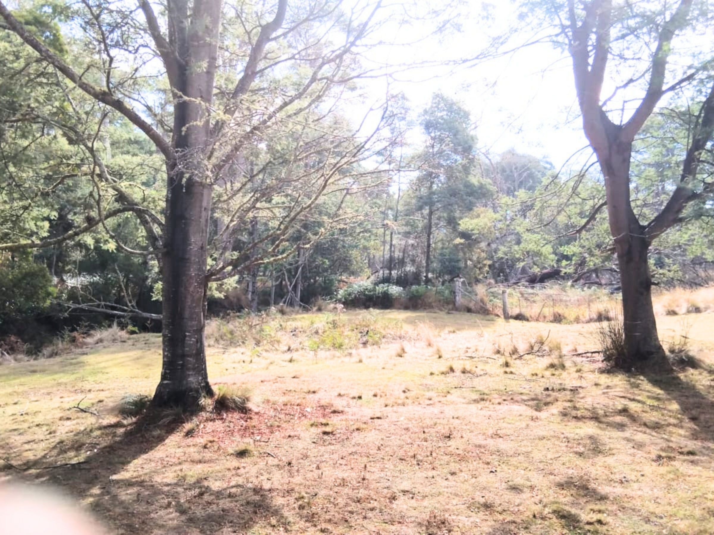 3-bedroom house at 855 TYNE ROAD, Mathinna TAS 7214, Break O'day, Tasmania