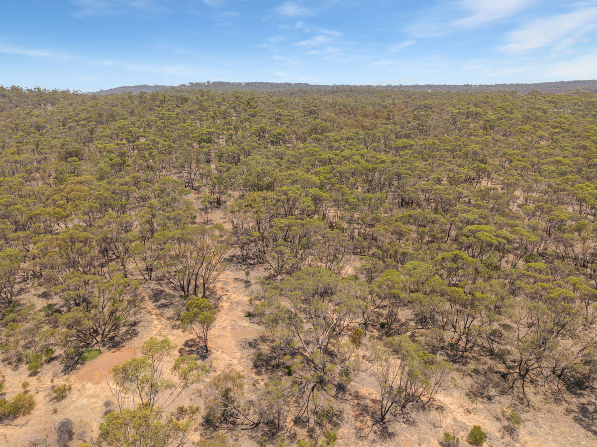 2 Calder Highway, Wedderburn, Vic, 3518 - Image 6