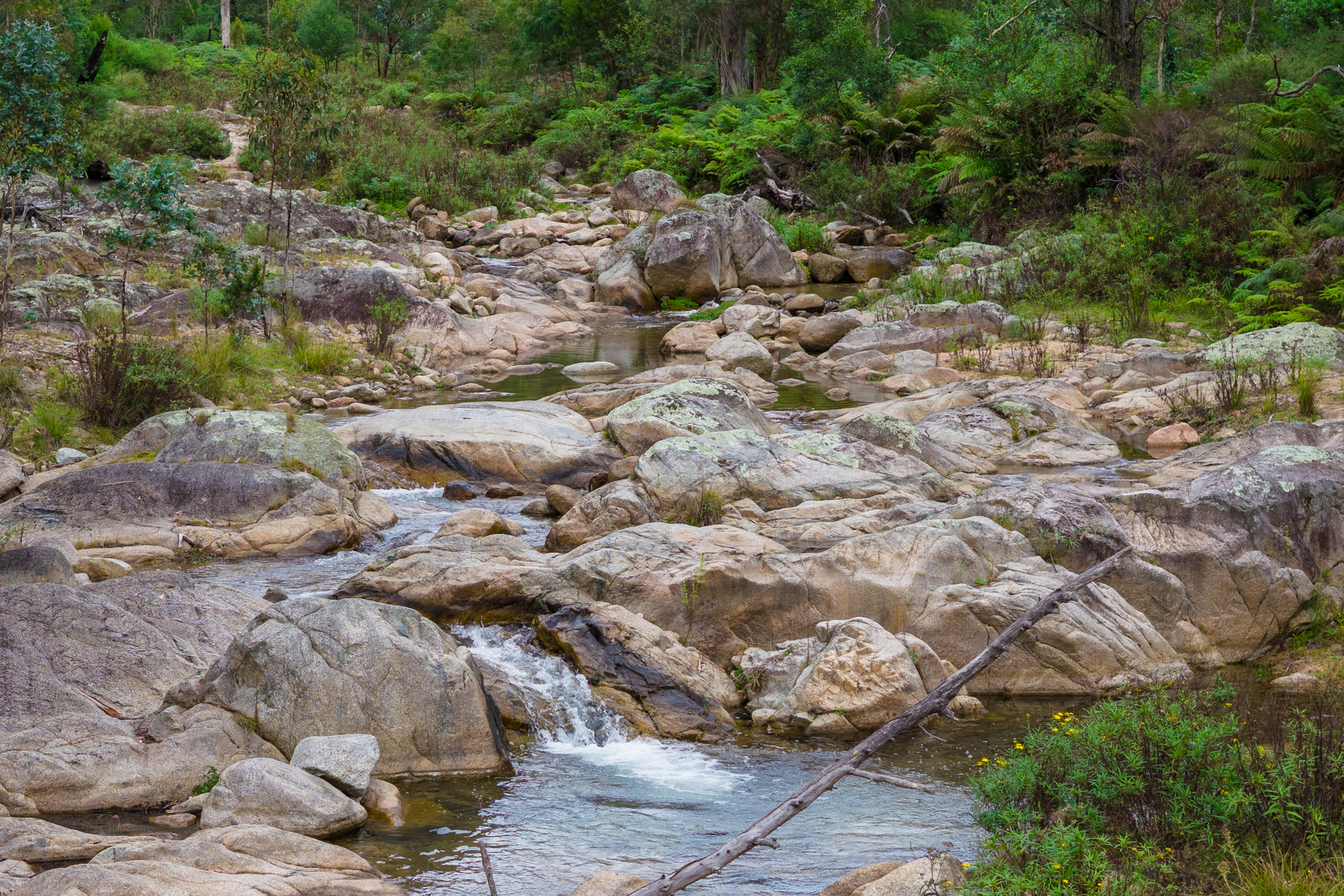 4-bedroom house at KOOROOL 1227 TANTAWANGALO MOUNTAIN ROAD, TANTAWANGALO NSW 2550, Bega Valley, New South Wales