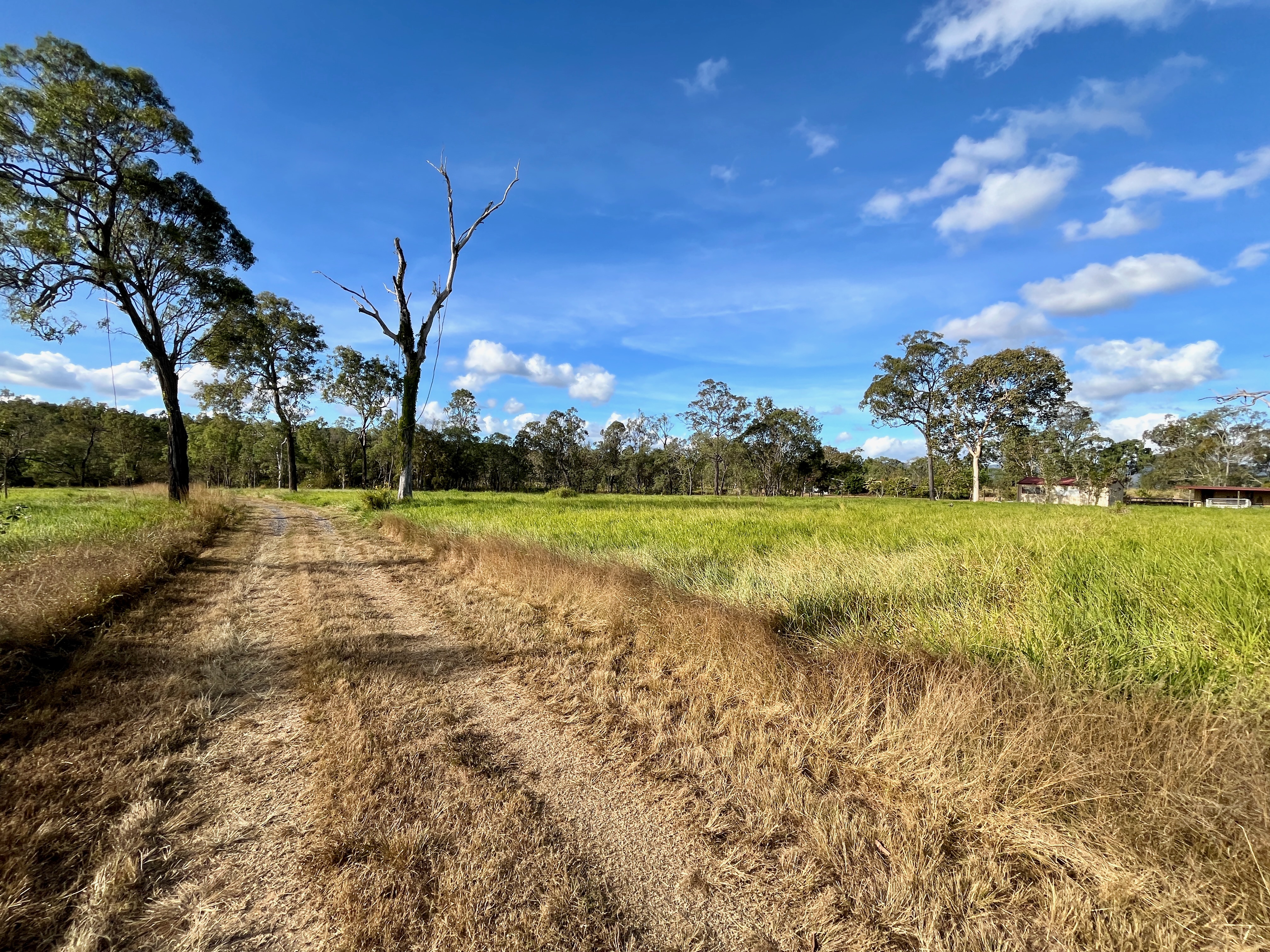 123 Kay Road, Mareeba, Qld, 4880 - Image 1