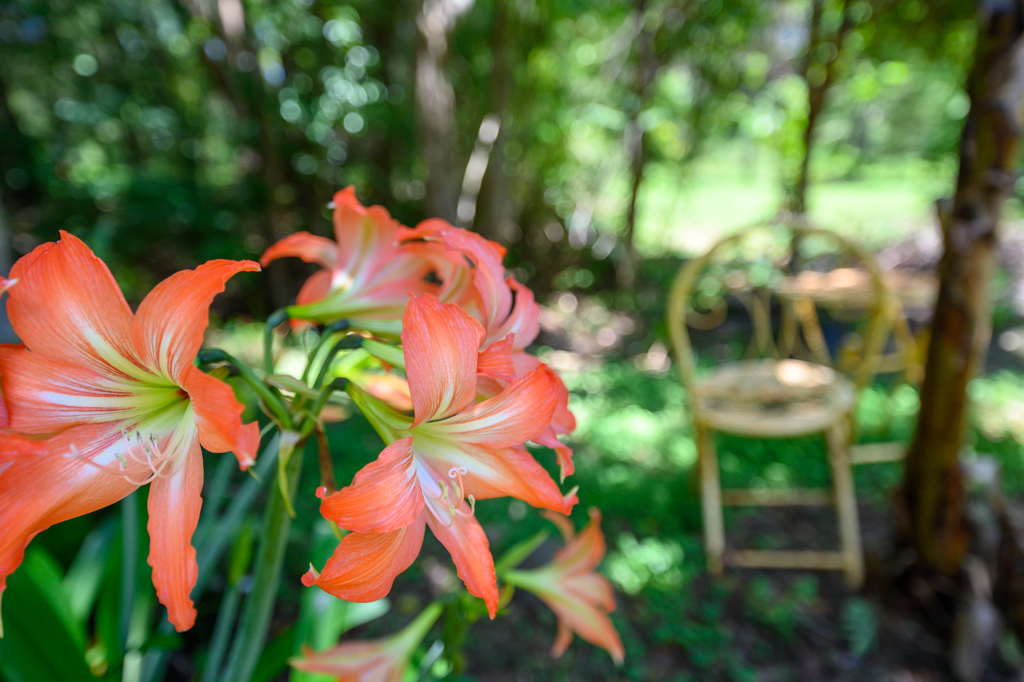 2-bedroom house at 38 Cooloon Street, Kunghur, NSW 2484, Tweed, New South Wales