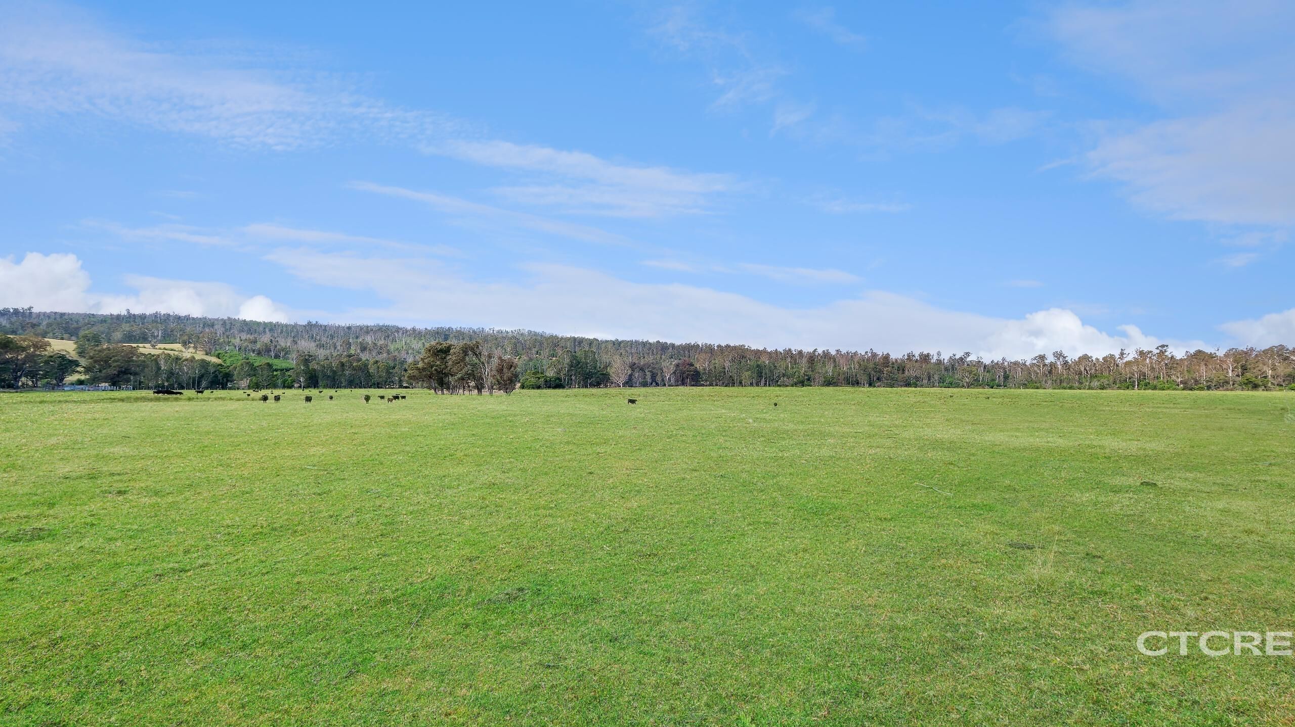 2-bedroom house at 1664 Wangarabell Road, Wangarabell, Vic, 3891, East Gippsland, Victoria