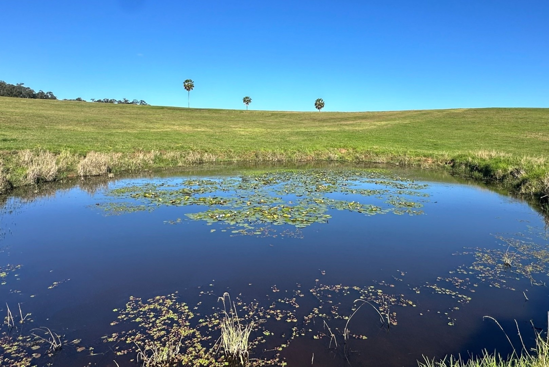 Lot 6 Soldier Settlers Road, Newee Creek, Nsw, 2447 - Image 1