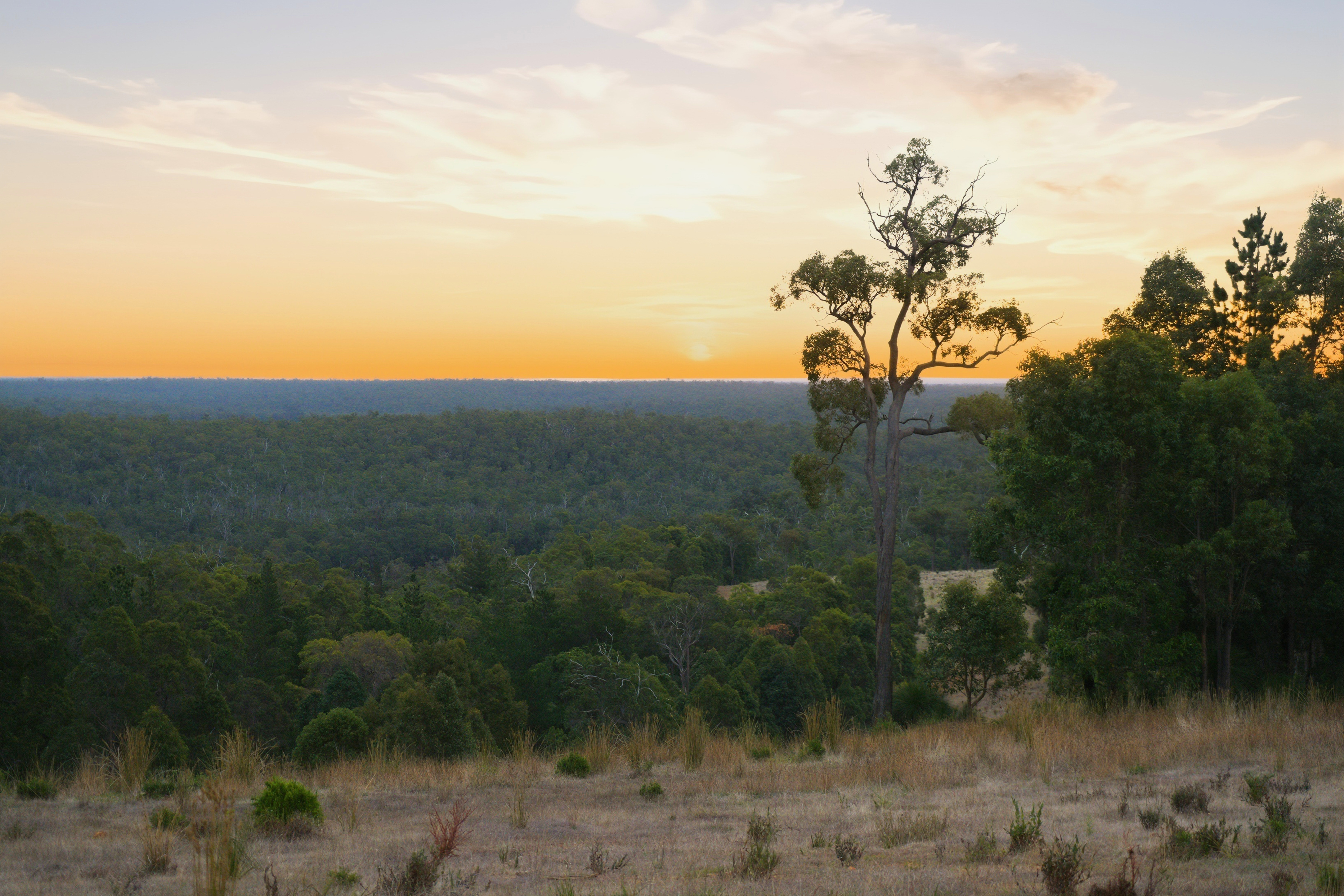 1-bedroom house at 267 Gold Gully Road, East Nannup, WA 6275, Nannup, Western Australia