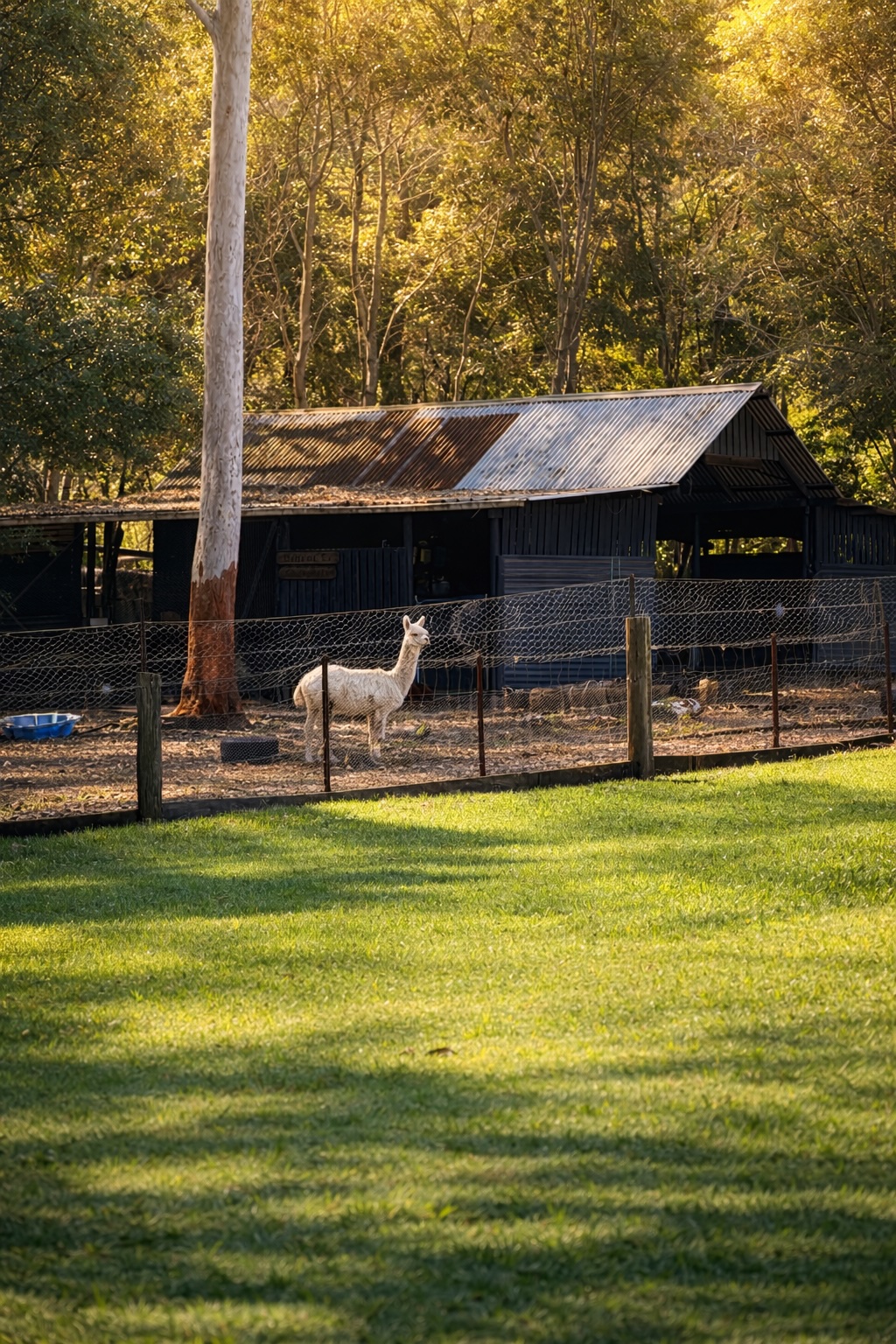 315 RIVER HEADS ROAD, Booral QLD 4655 - Image 4