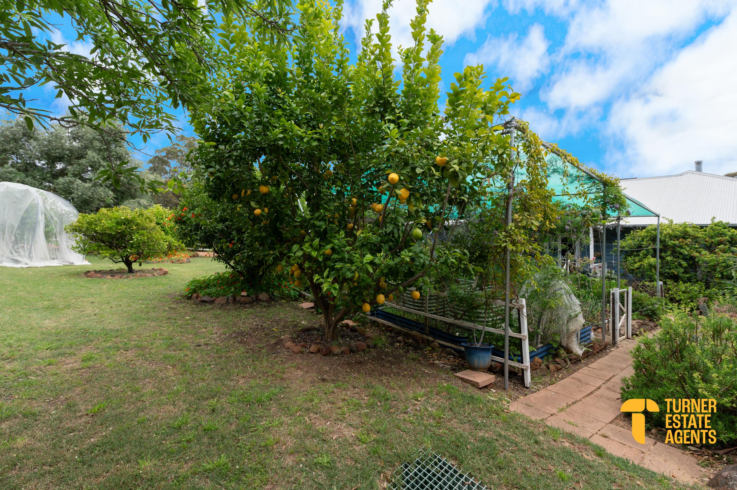 4-bedroom house at 181 JARRAHDALE ROAD, Jarrahdale WA 6124, Serpentine-Jarrahdale, Western Australia