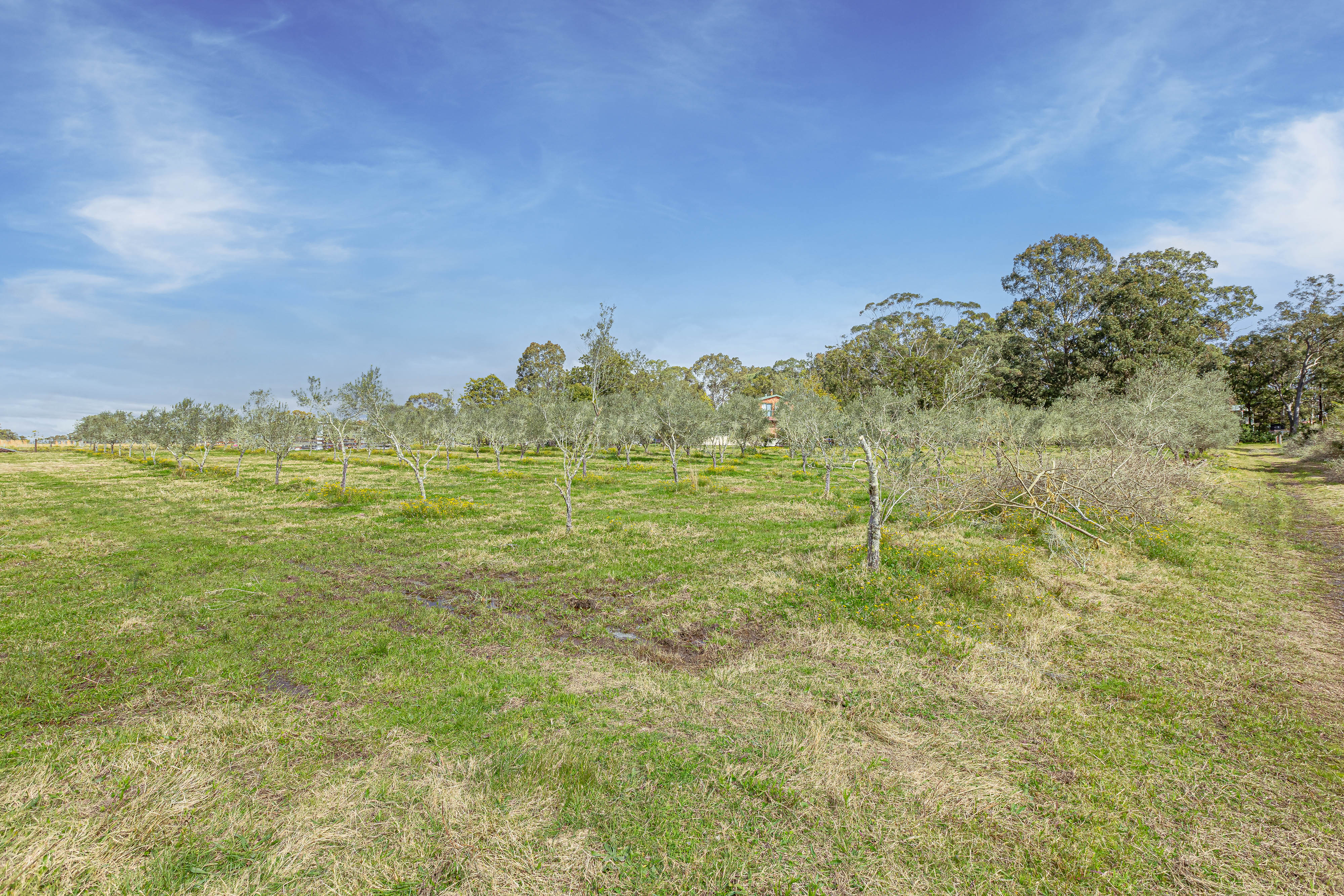 4-bedroom house at 124 Duns Creek Road, Duns Creek, Nsw, 2321, Port Stephens, New South Wales