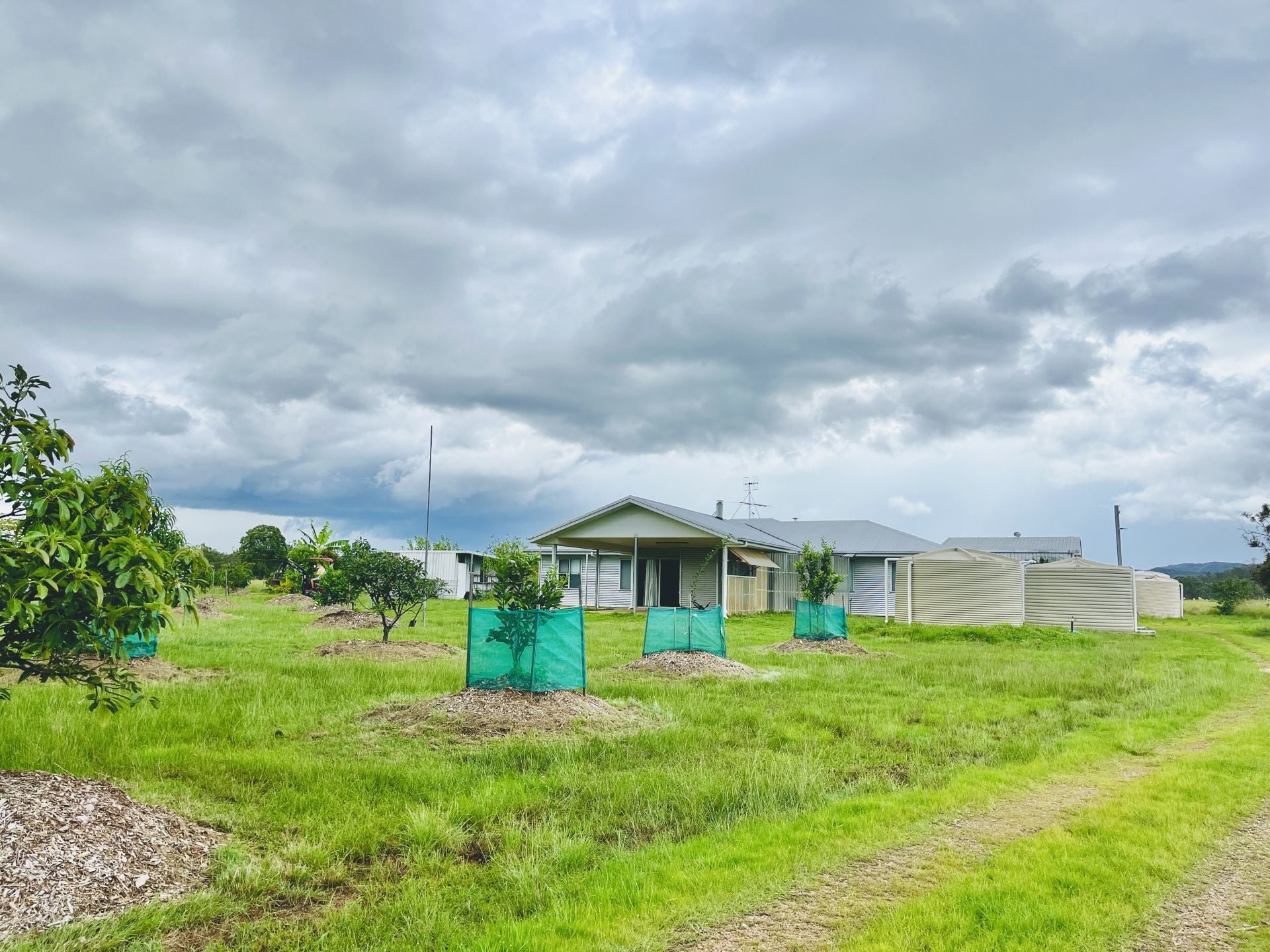 3-bedroom house at 84 GORDON EARL DRIVE, Millstream QLD 4888, Tablelands, Queensland