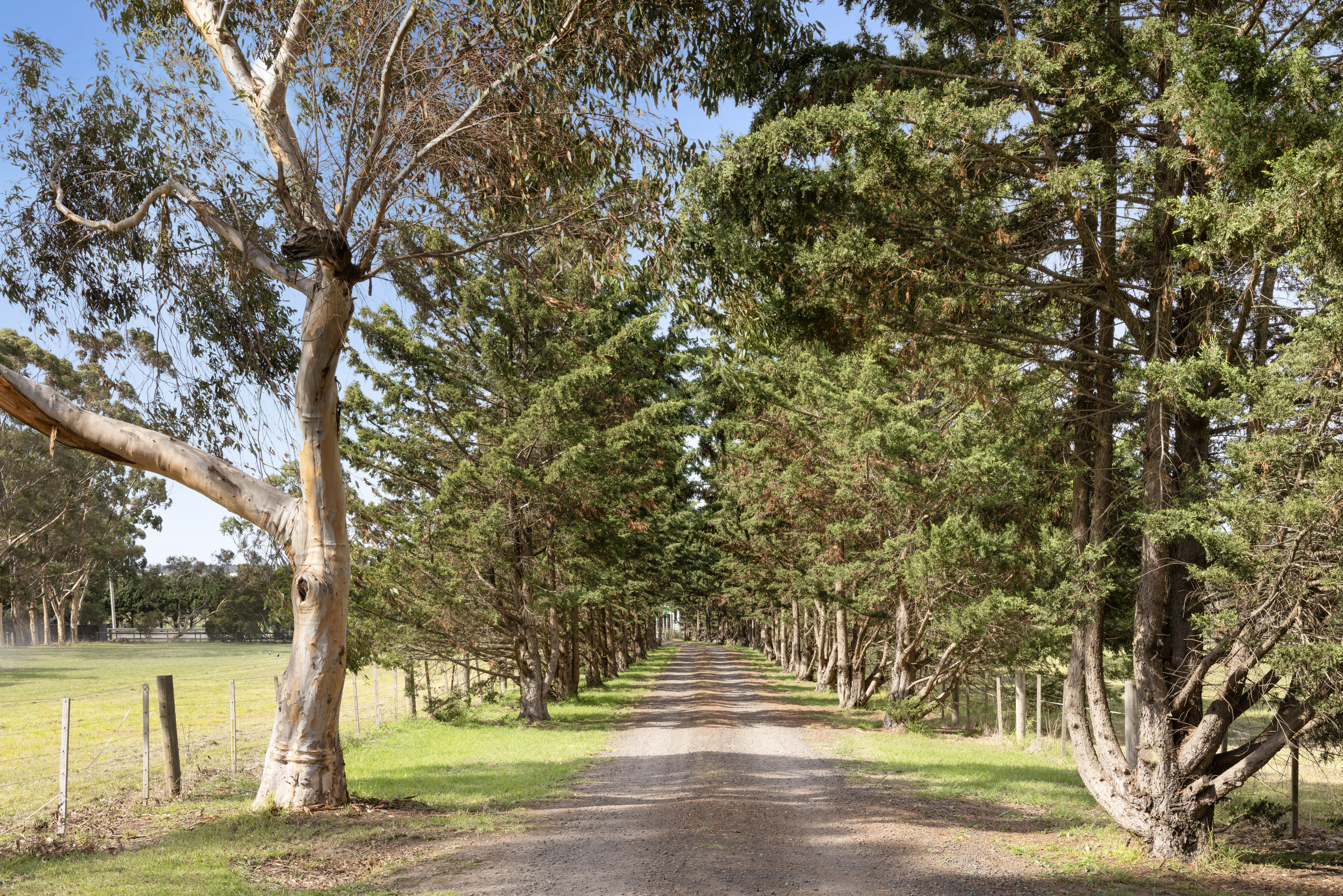 4-bedroom house at 1545 MICKLEHAM ROAD, Yuroke VIC 3063, Hume, Victoria