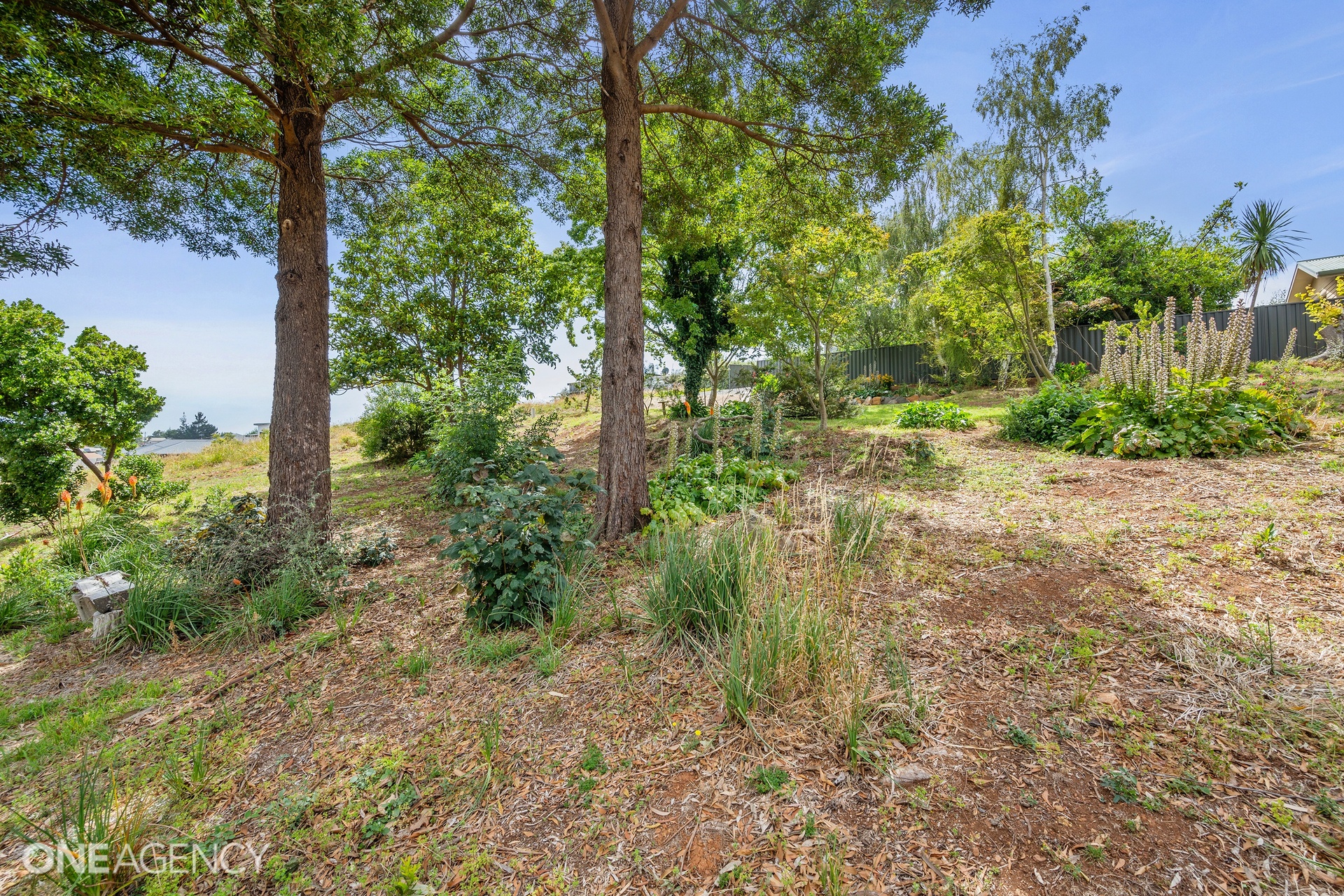 76 Hillcrest Road, Devonport, TAS 7310 - Image 9