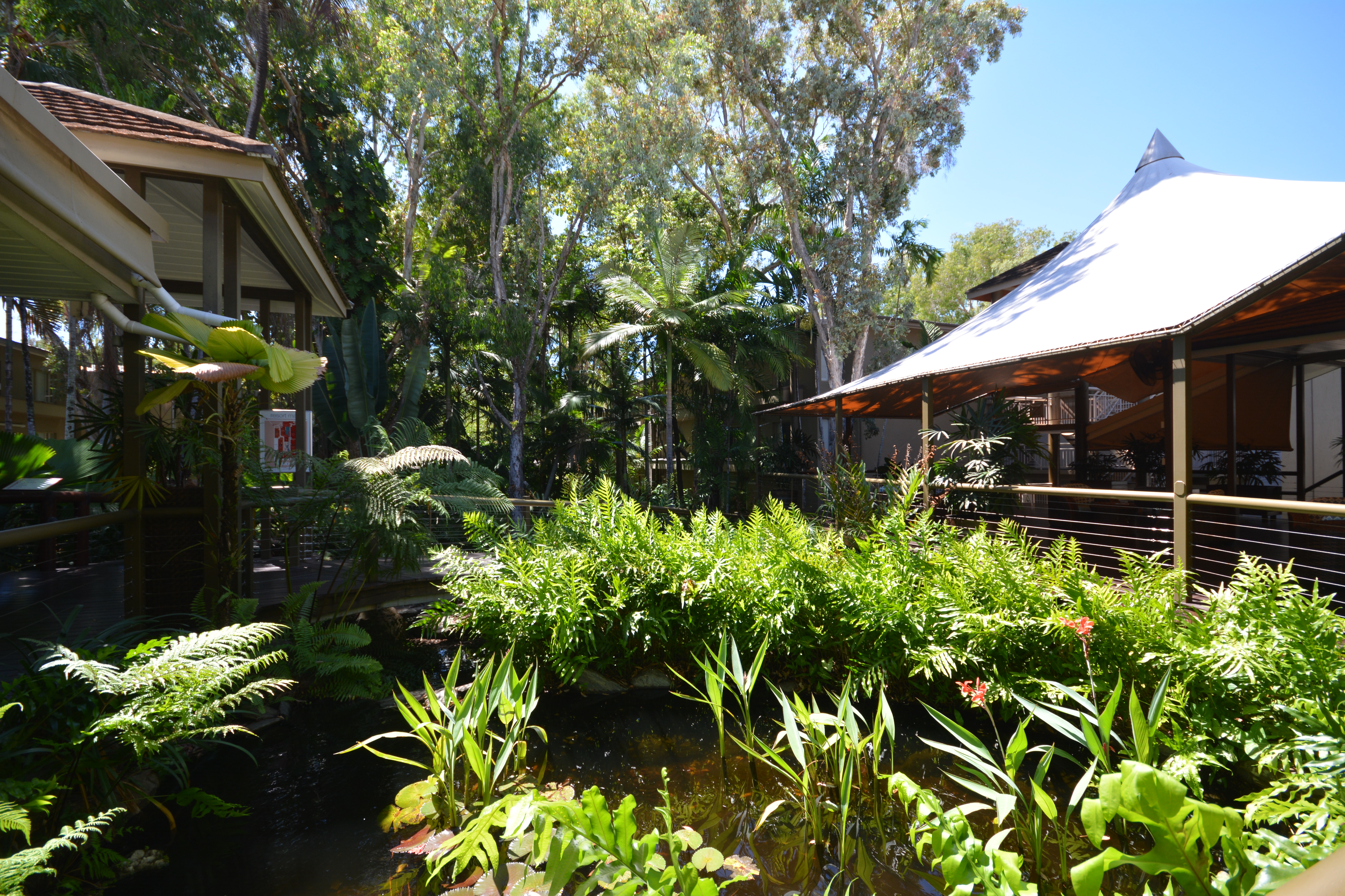 D244/316 Port Douglas Road (Ramada Resort), Port Douglas, Qld, 4877 - Image 5