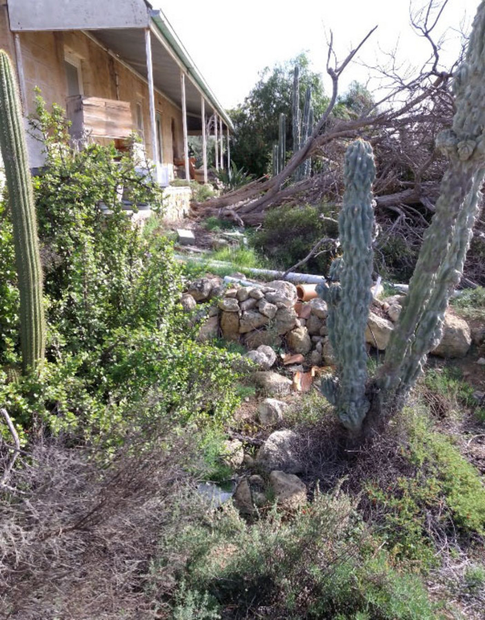 3-bedroom house at 19-21 ADAMS STREET, Blanchetown SA 5357, Mid Murray, South Australia