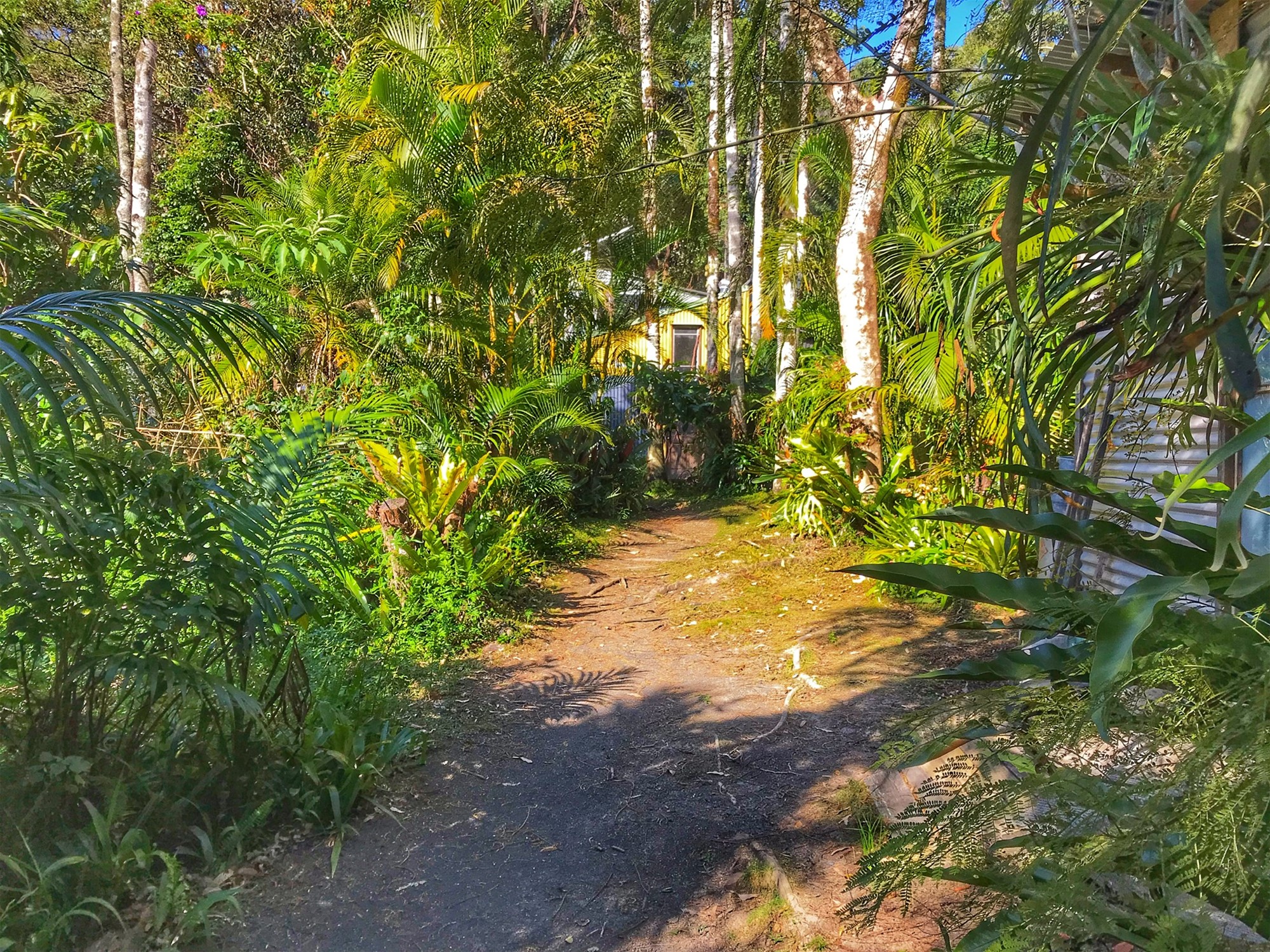 904 Blue Knob Road, Nimbin, Nsw, 2480 - Image 1