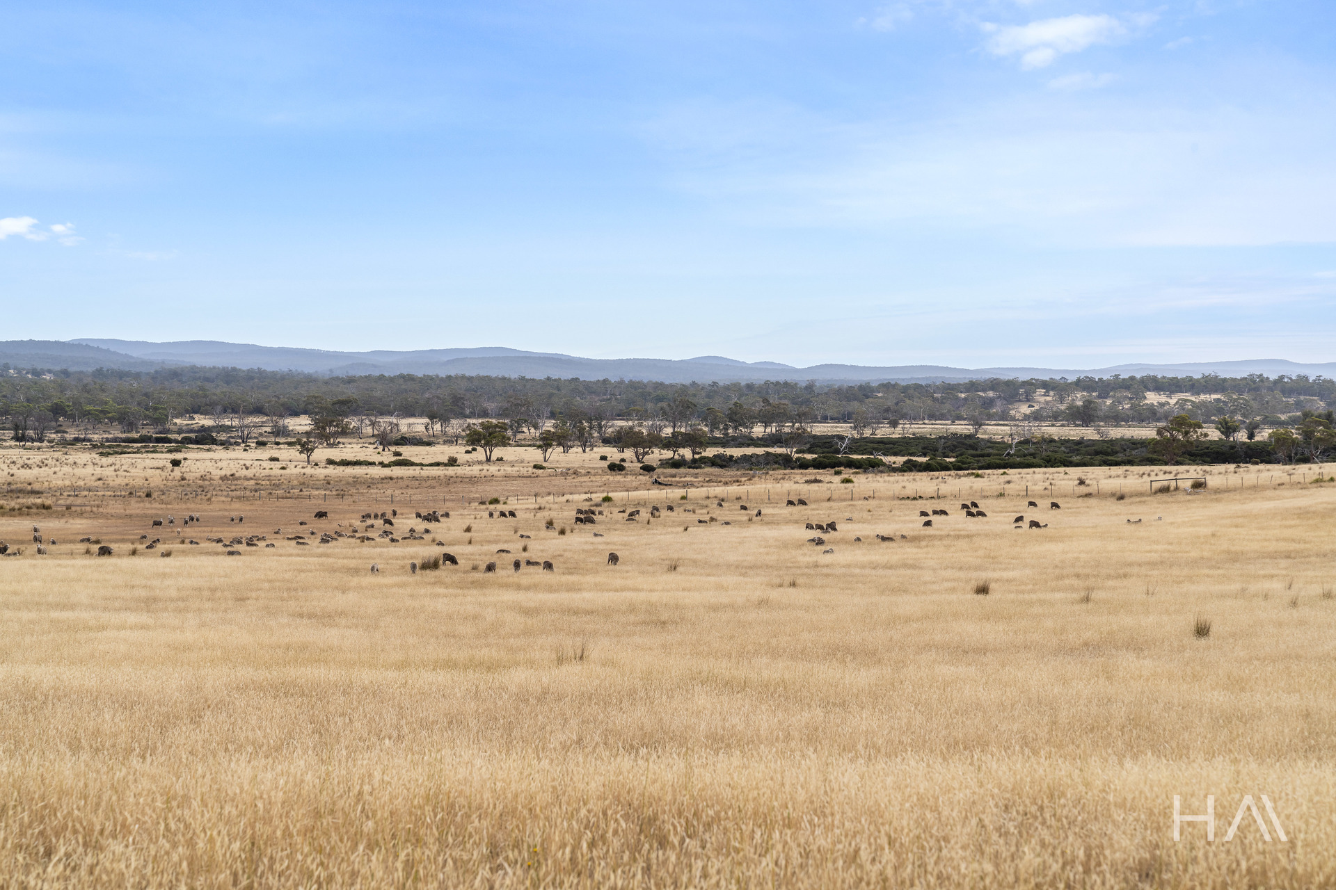 Lot 50 Springs Road, Swansea, Tas, 7190 - Image 2