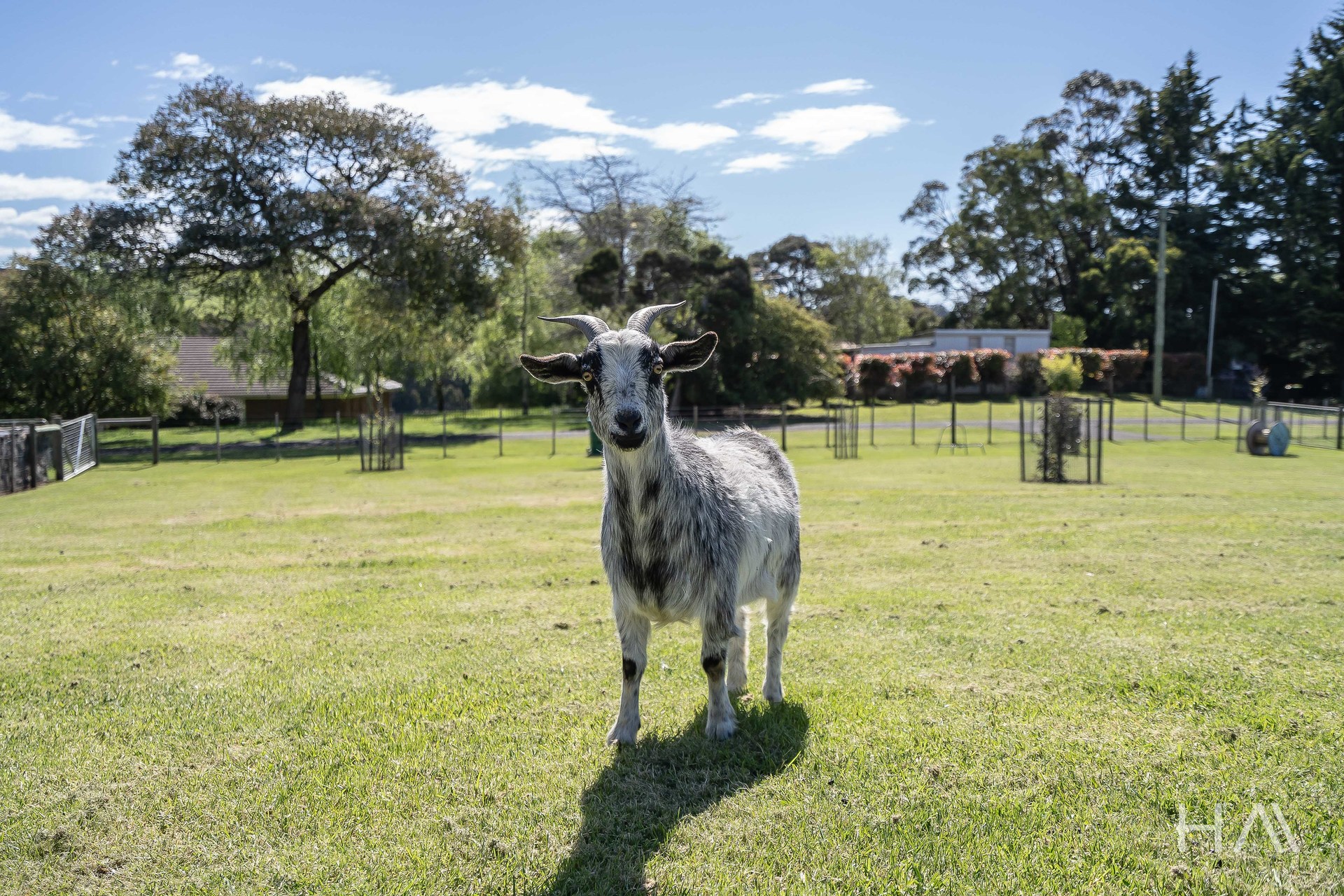 4-bedroom house at 11 JAMES STREET, Forth TAS 7310, Devonport, Tasmania