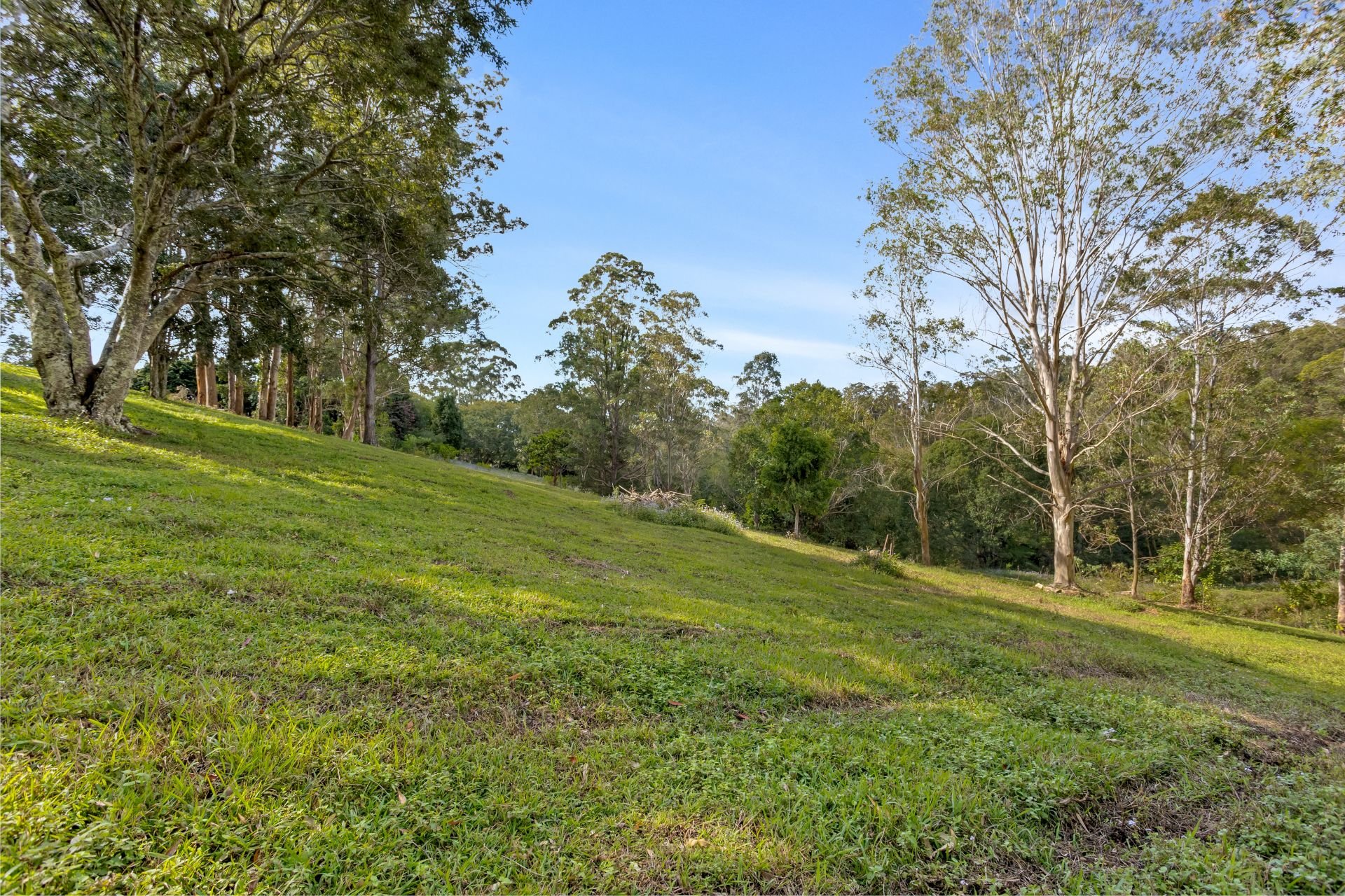 3-bedroom house at 855 CAMPBELLS POCKET ROAD, Campbells Pocket QLD 4521, , Queensland